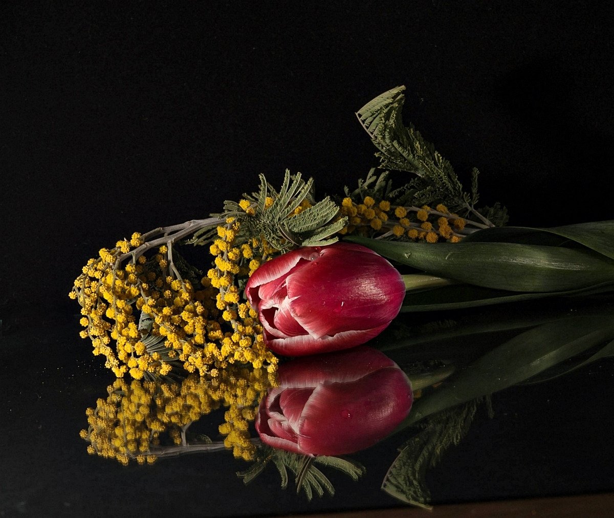 Красивые тюльпаны с мимозой