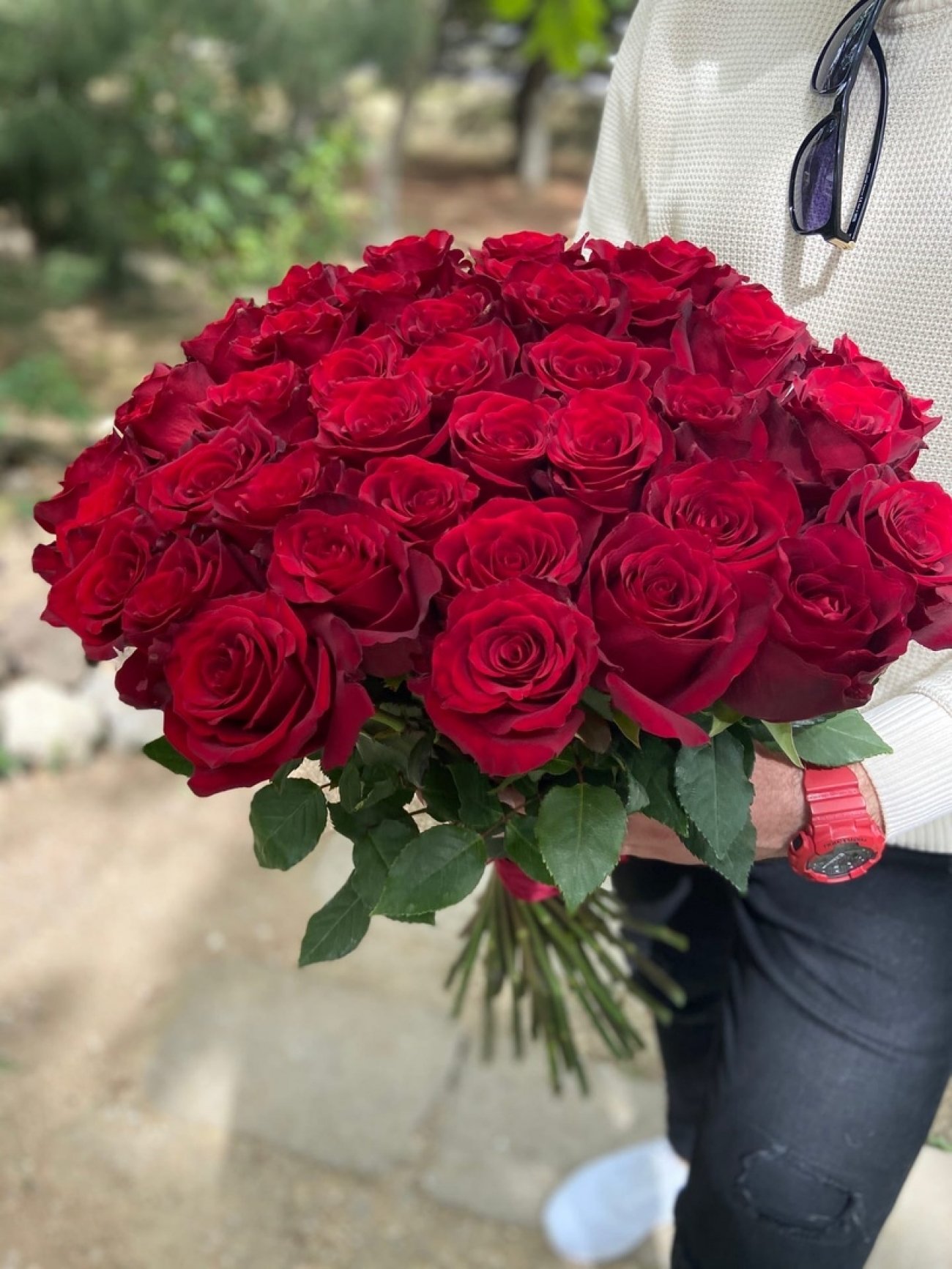 Бордовая роза Эквадор