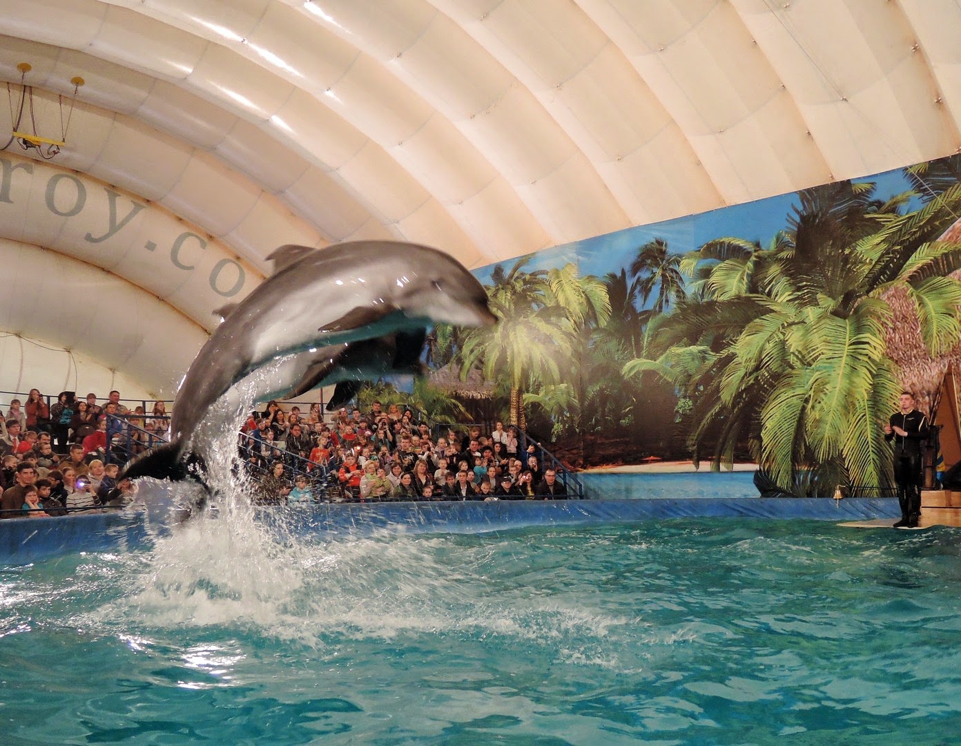 Самый большой дельфинарий