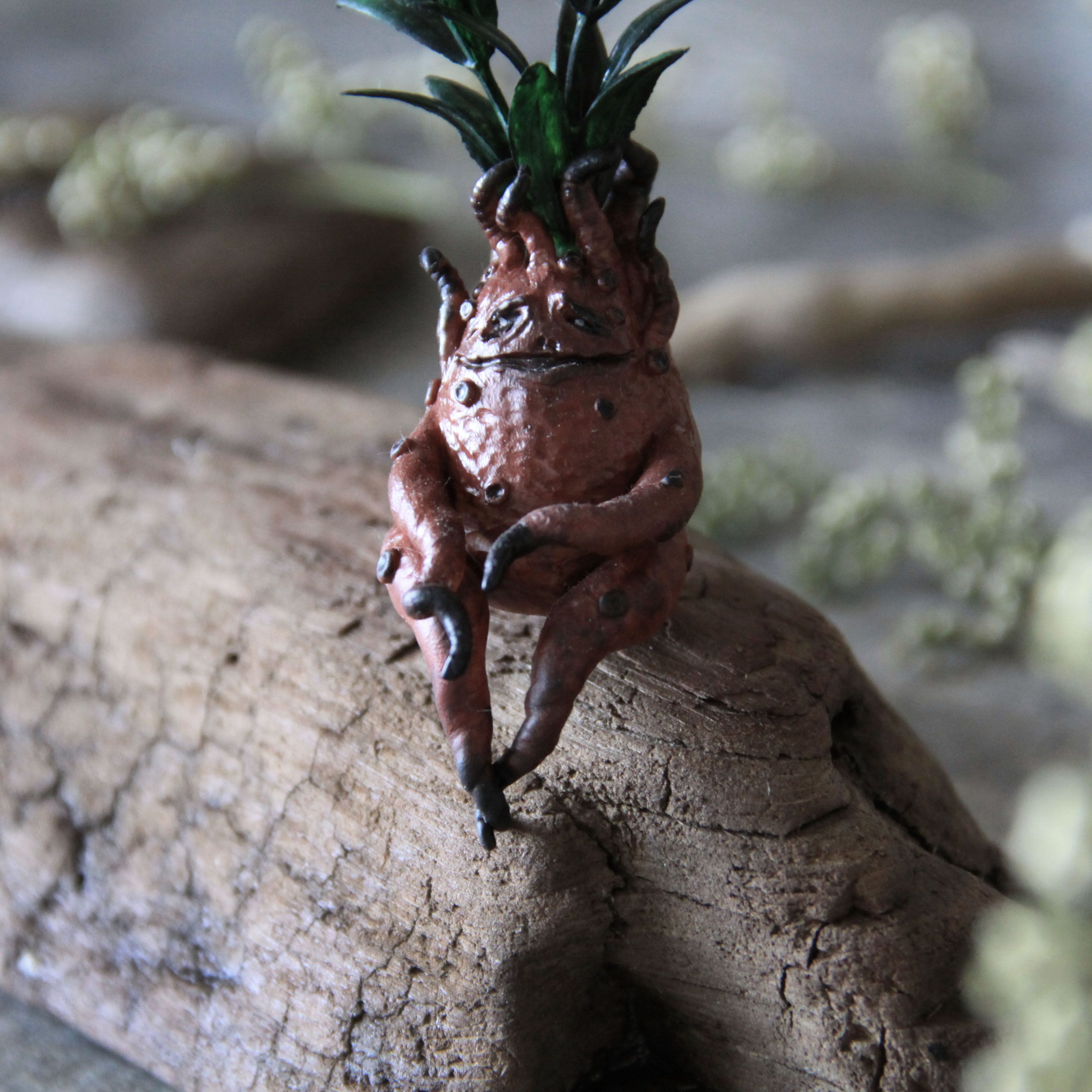 Гладиатор мандрагора. Mandrake - Мандрагора. Мандрагора растение корень.