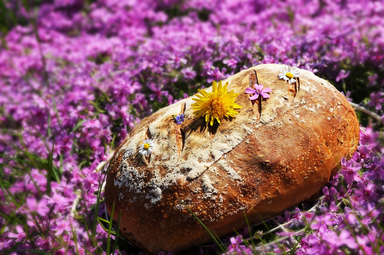 Цветок хлеба - читать онлайн бесплатно ознакомительный отрывок