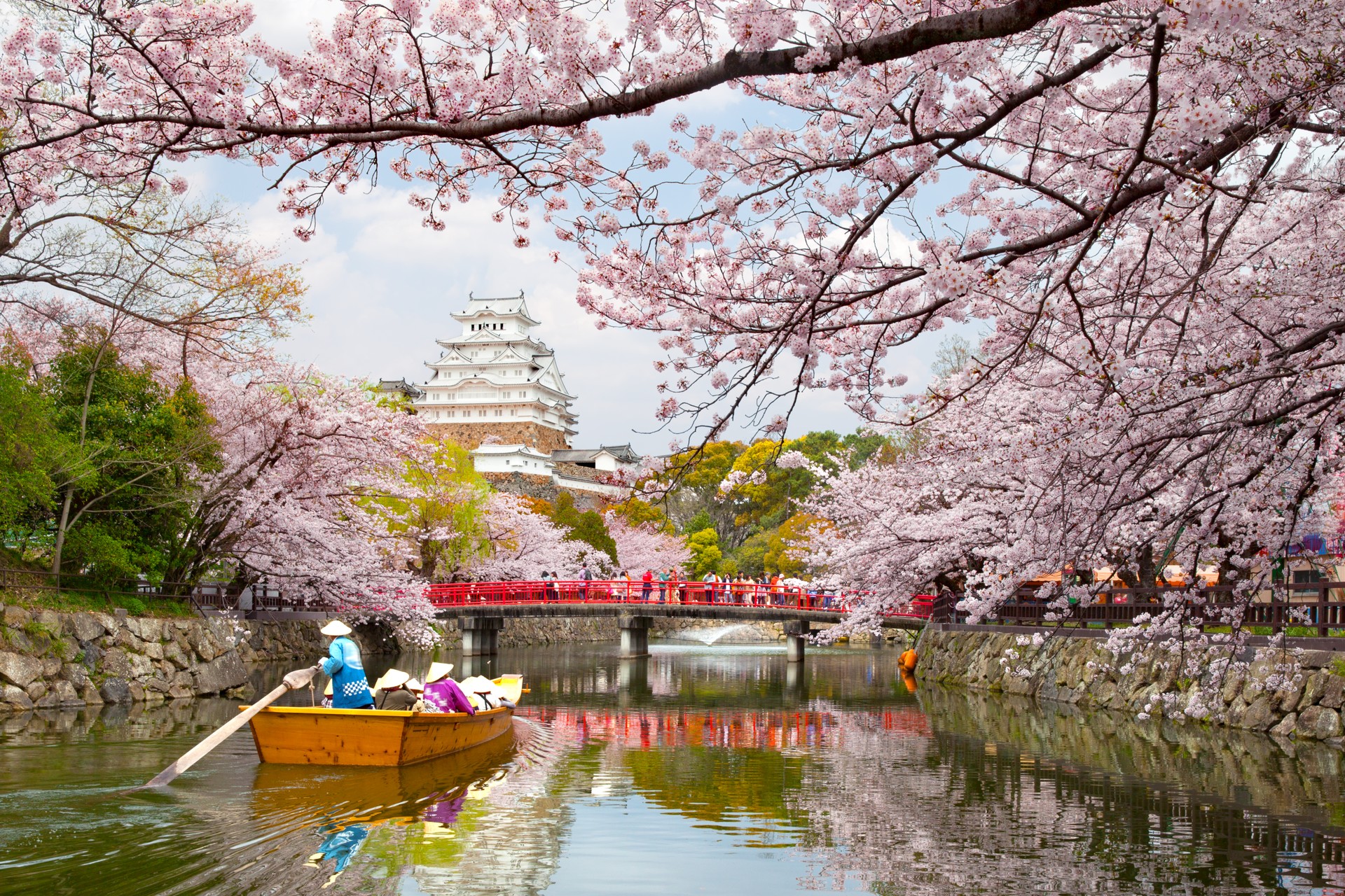 Япония. Замок Химэдзи Сакура. Замок Химэдзи сад. Химедзи и Сакура. Киото цветение Сакуры.