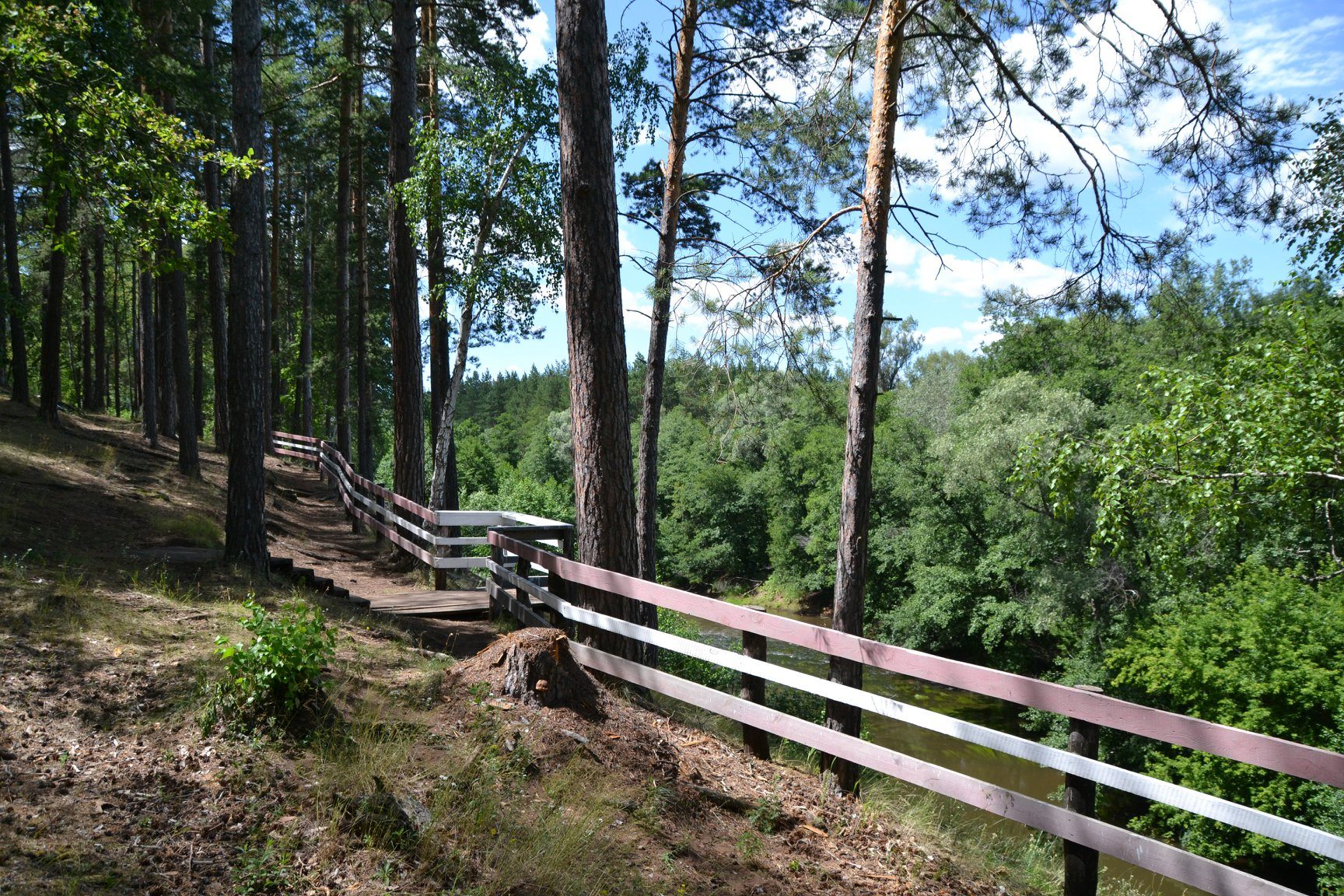 Национальный парк бузулукский бор