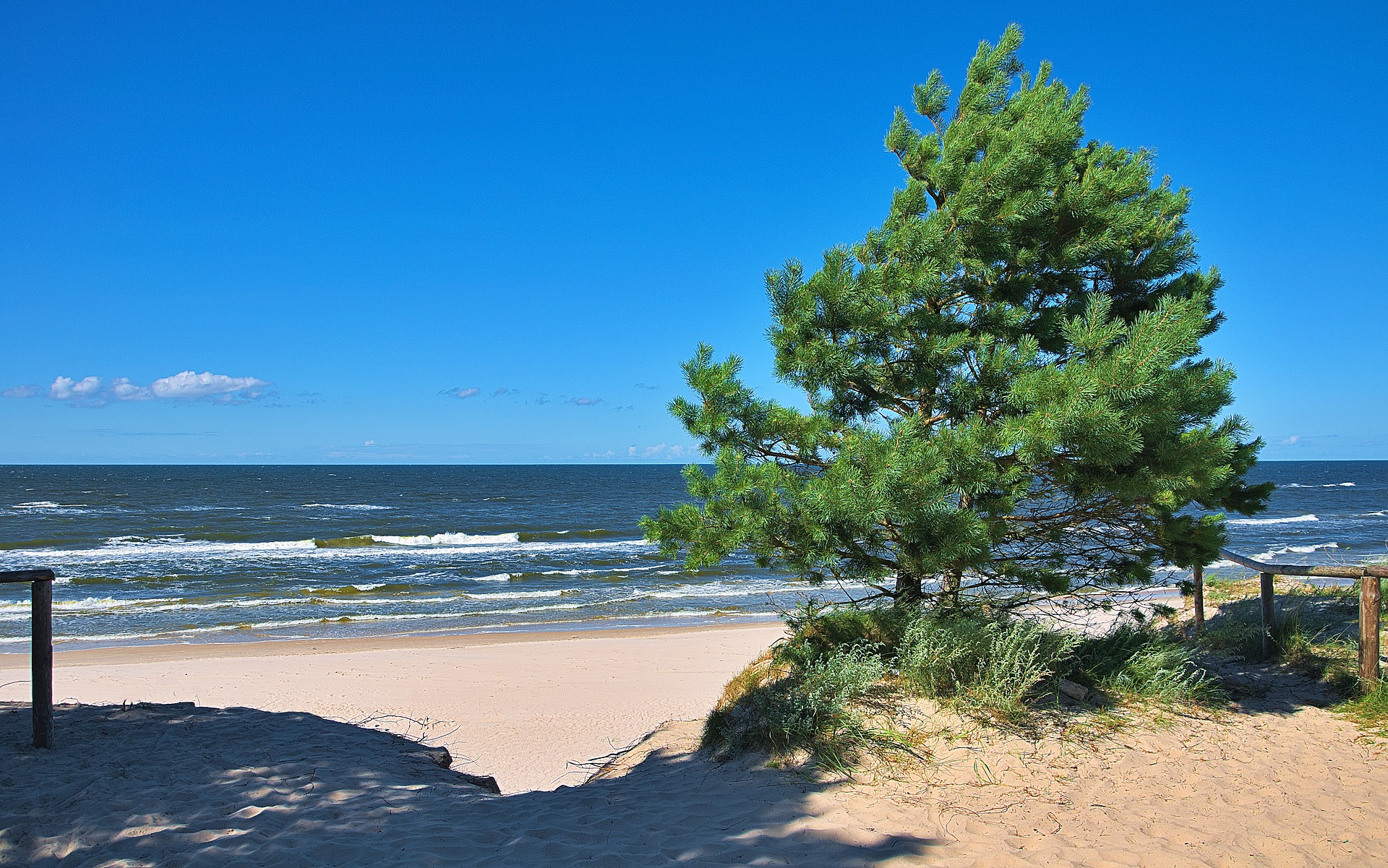 Сосновый Бор Балтийское море