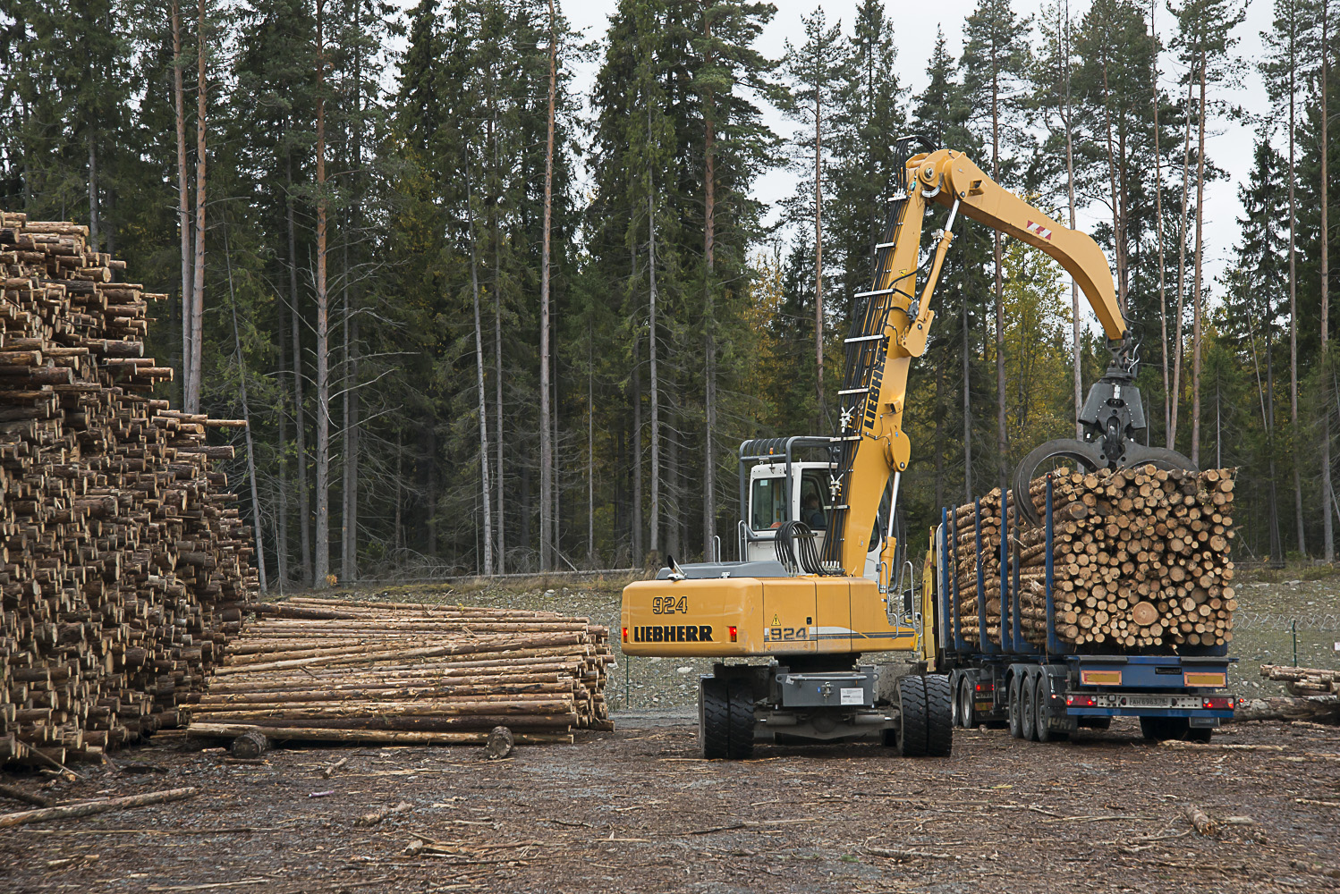 Лесозаготовка деревообработка. Лесная промышленность Канады. Лесная промышленность Сахалина. Лесная промышленность Урала. Лесная, деревообрабатывающая и лесохимическая промышленность Урала.