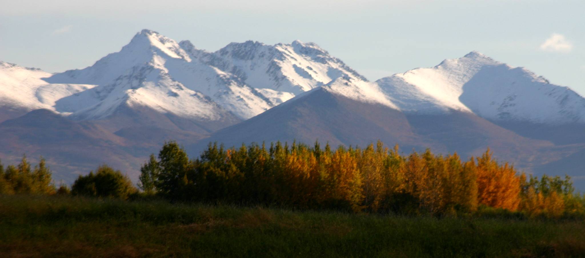 Лес Чугач на Аляске