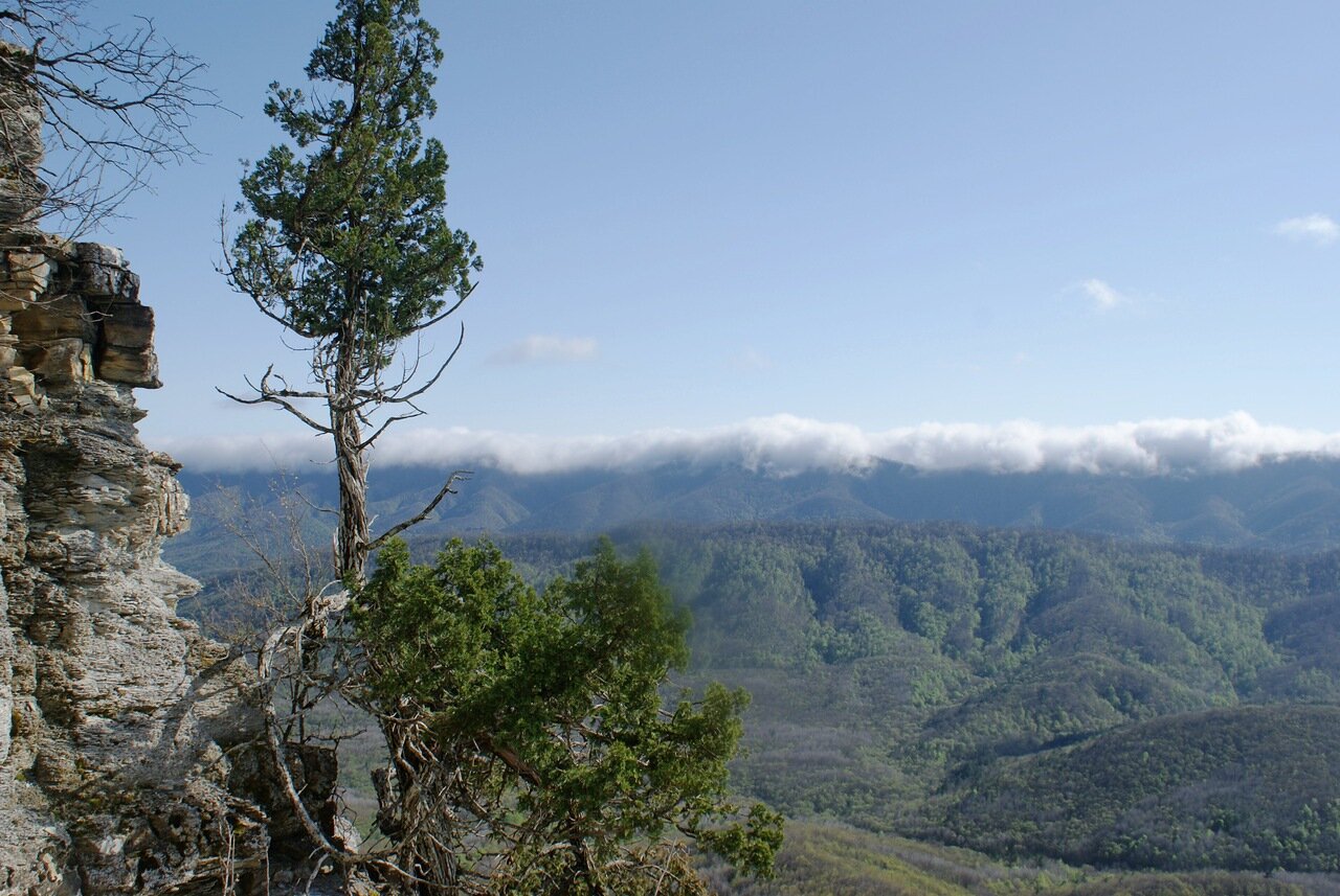 Гора Тхаб Геленджик