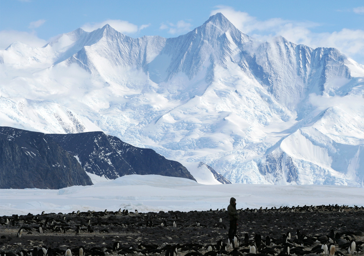 Антарктические горы. Антарктида трансантарктические горы. Массив Винсон Антарктида. Гора Винсон. Гора массив Винсон.