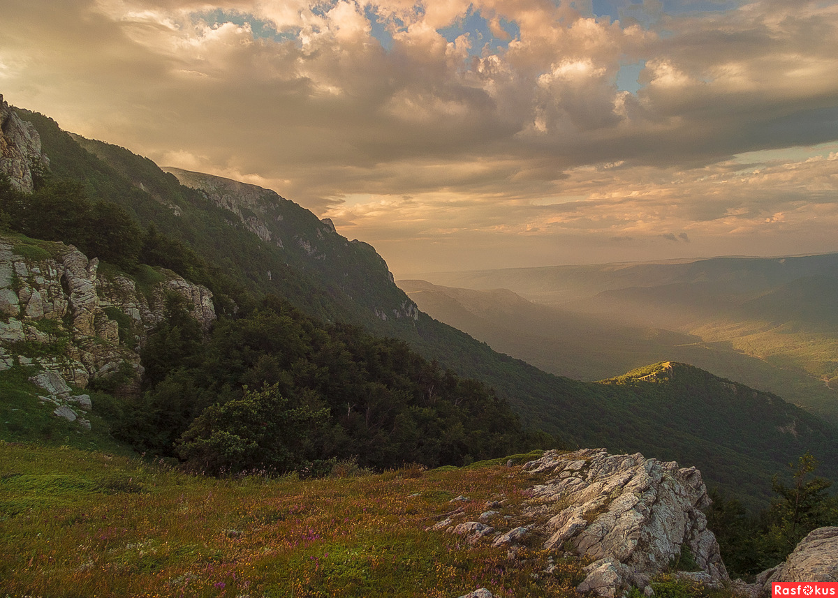 Крым горы и леса рядом