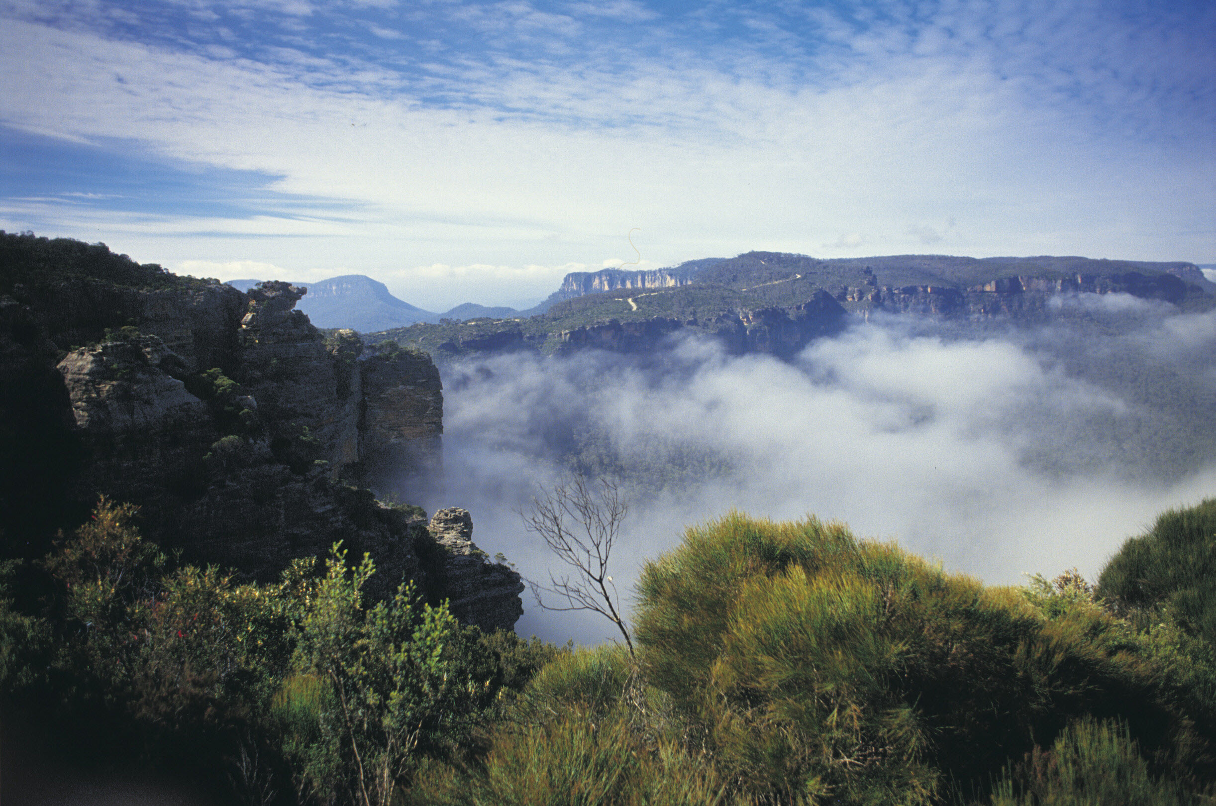 Национальный парк голубые горы Австралия
