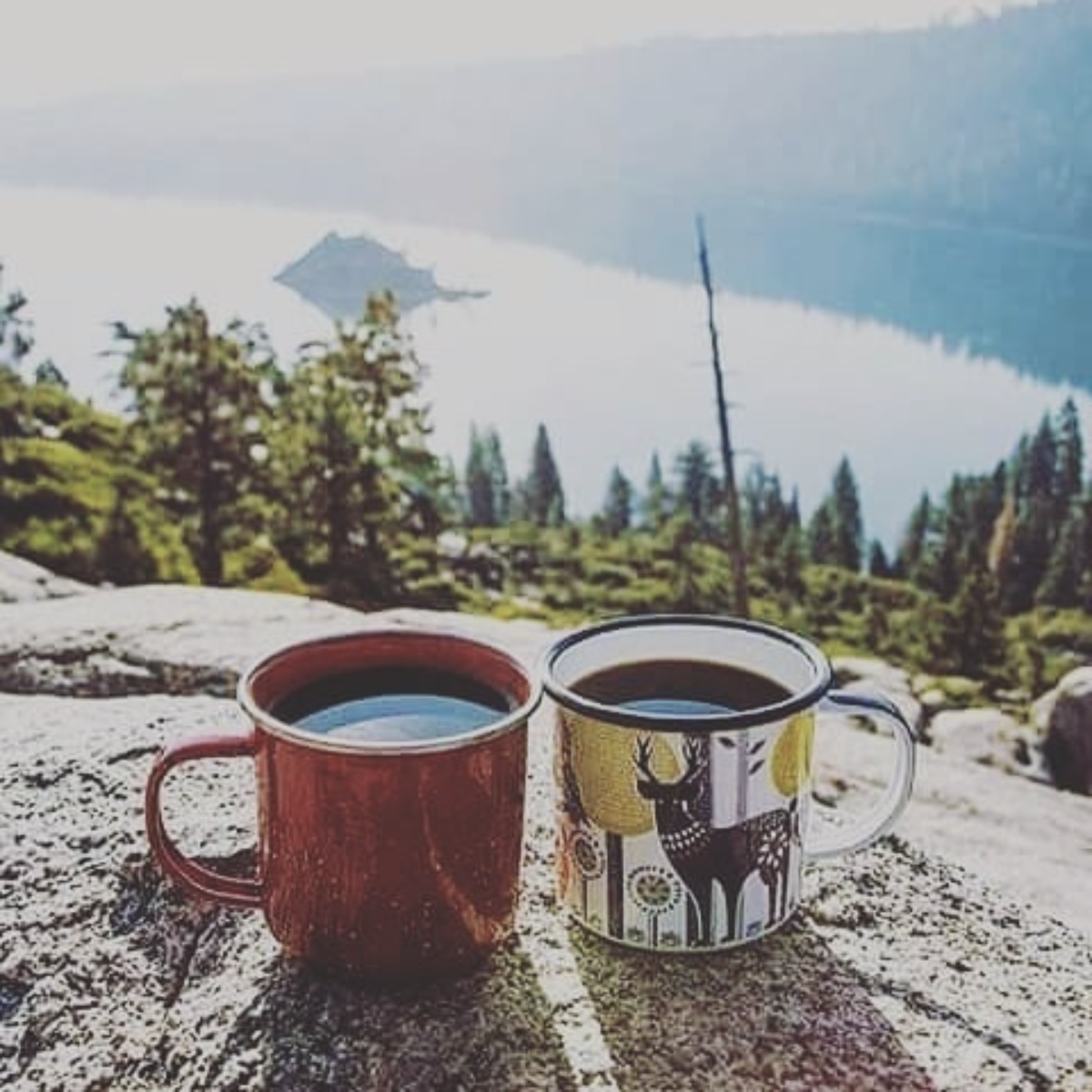 Утро горы кофе