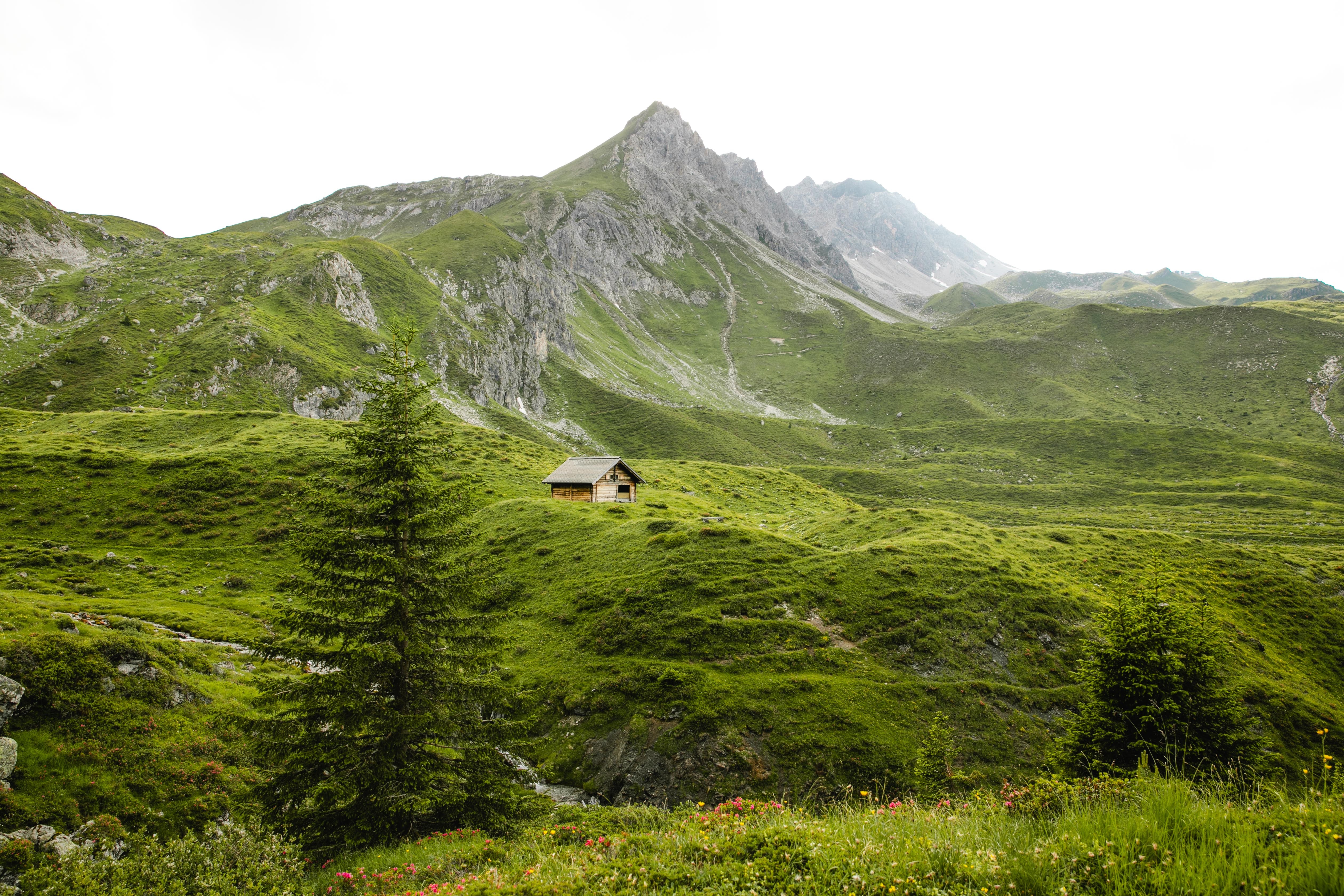 Горные холмы. Грин Маунтин гора. Зеленые холмы Алтай. Зеленые холмы Швейцарии. Грин Маунтинс хребет.