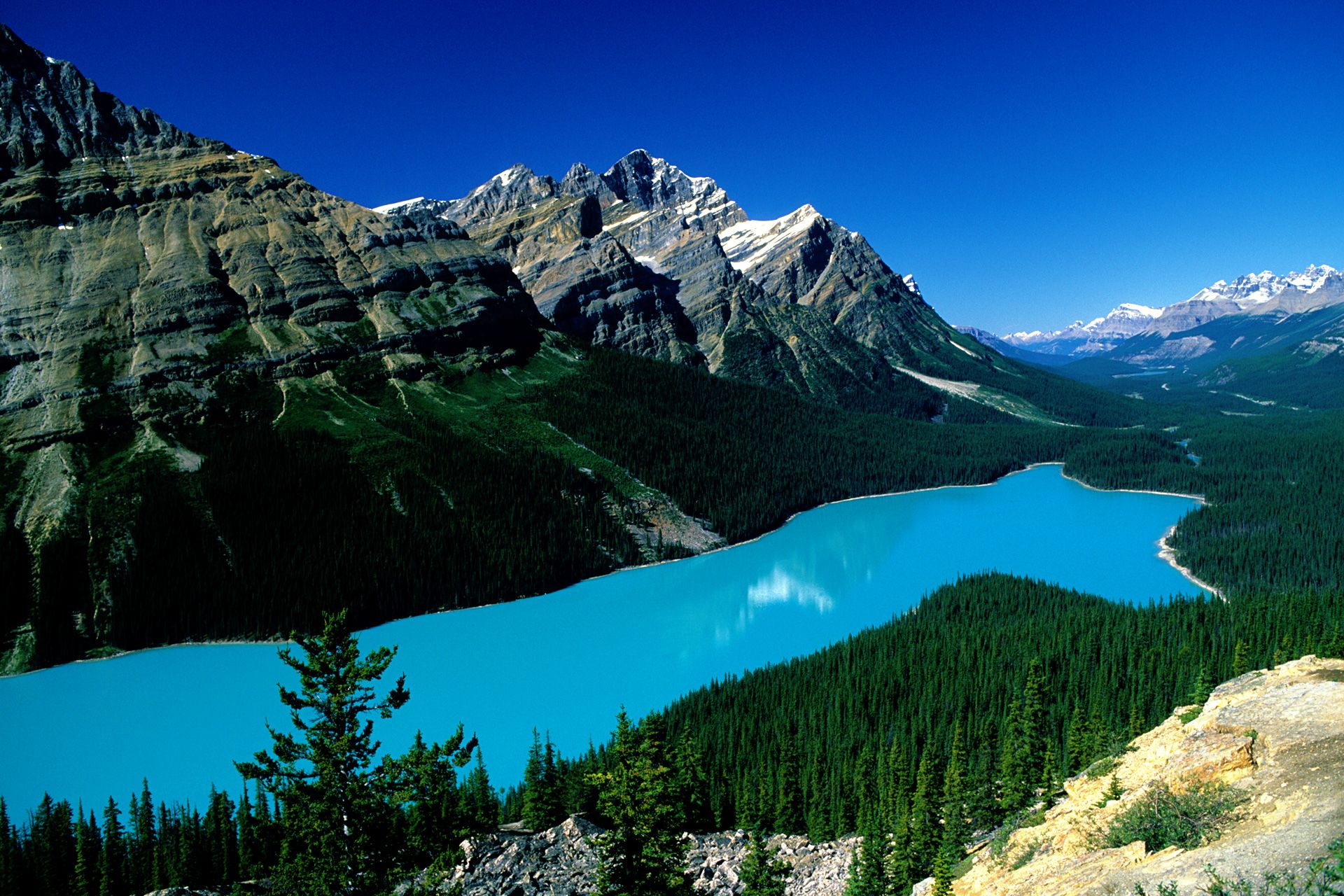Горное озеро отличается особенной красотой. Заповедник Банф Канада. Озеро Пейто Канада. Горы Рокис Канада. Скалистые горы Северной Америки.