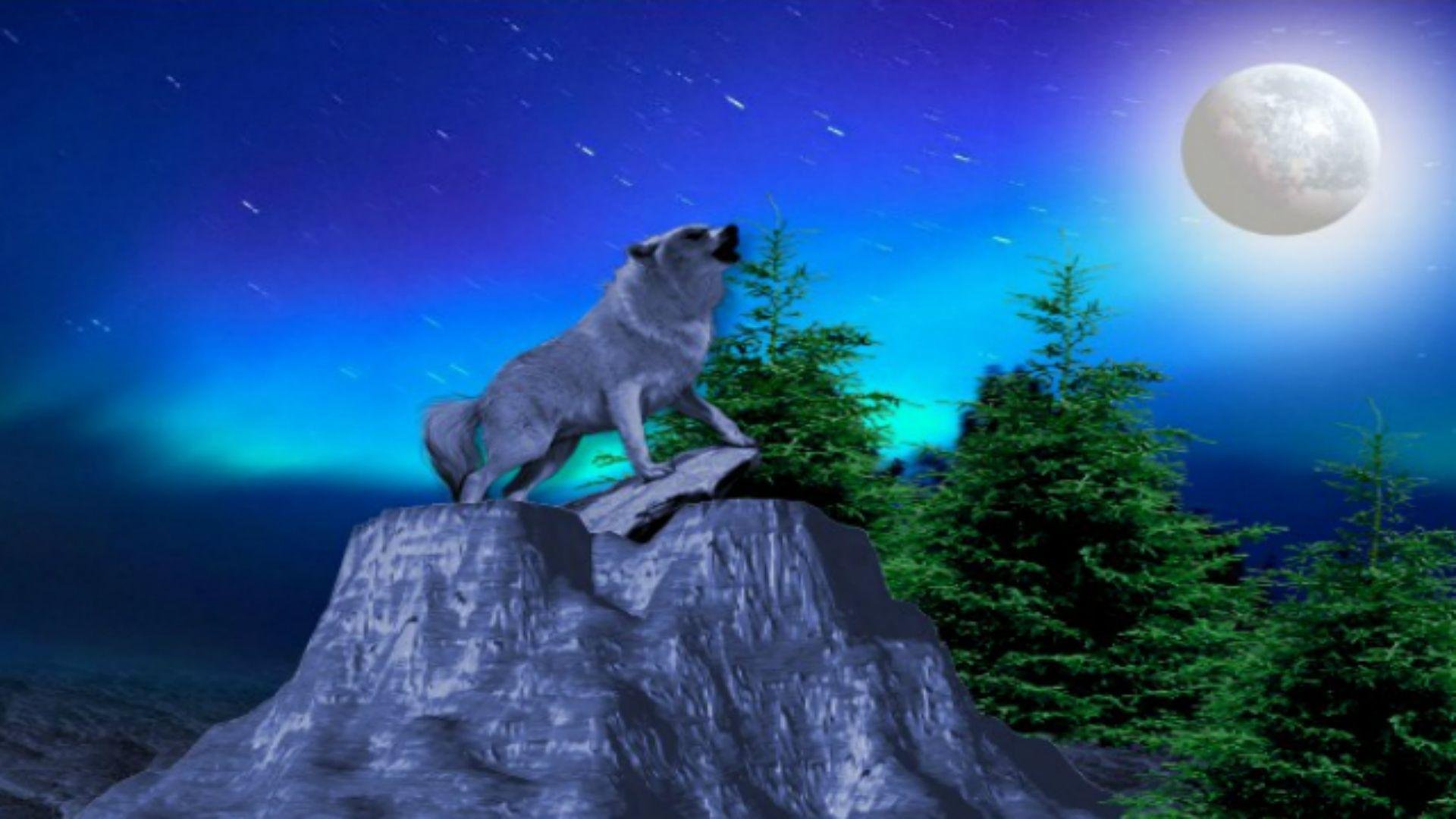 Вой волка на луну песня. Волк воет на луну. Волк и Луна. Лунные волки. Волк на скале ночью.