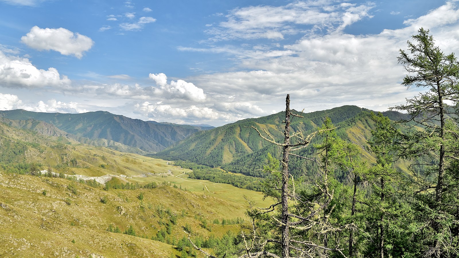 Чекетаманский перевал Алтай иния камни