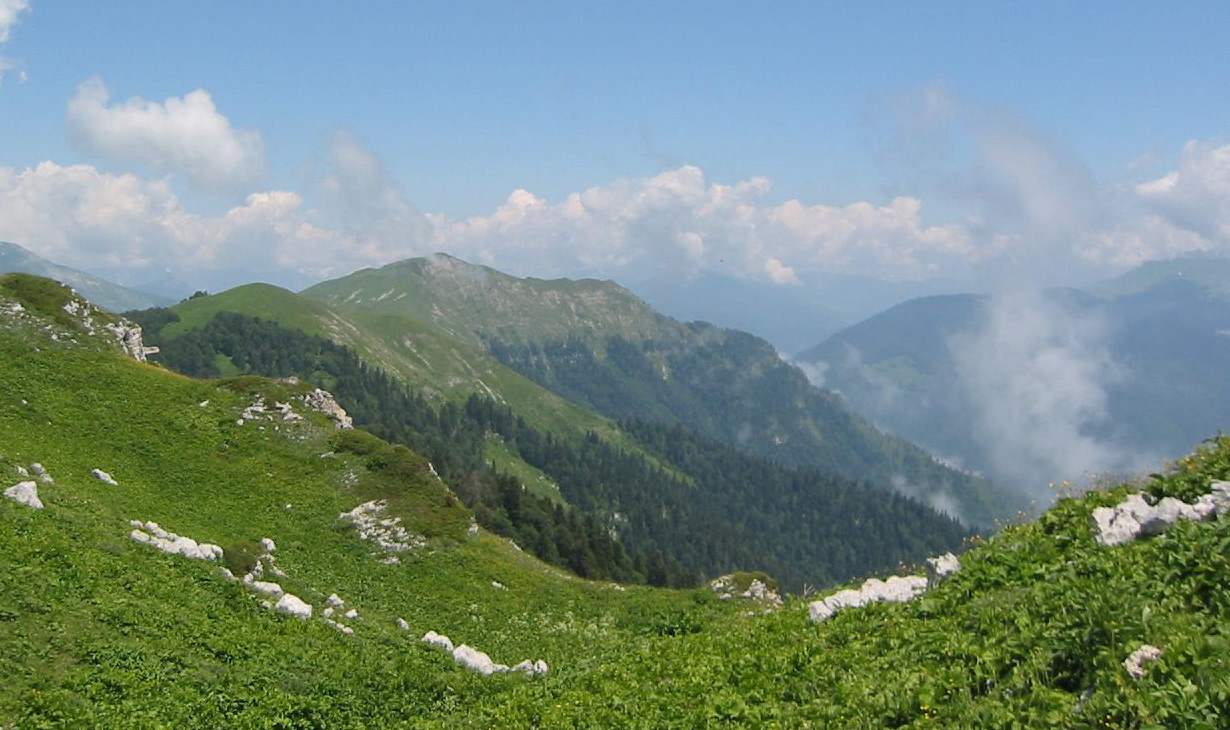 Горы Кавказа Гагра