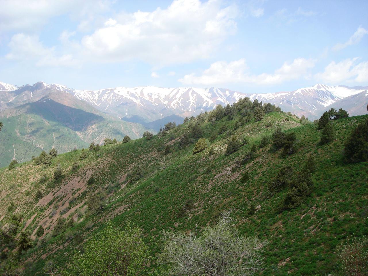 Ангрен Узбекистан горы