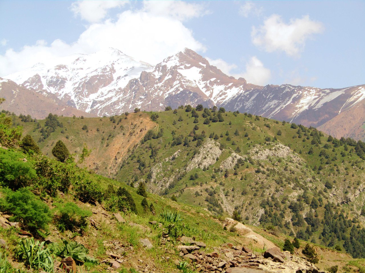 Янгиабад горы