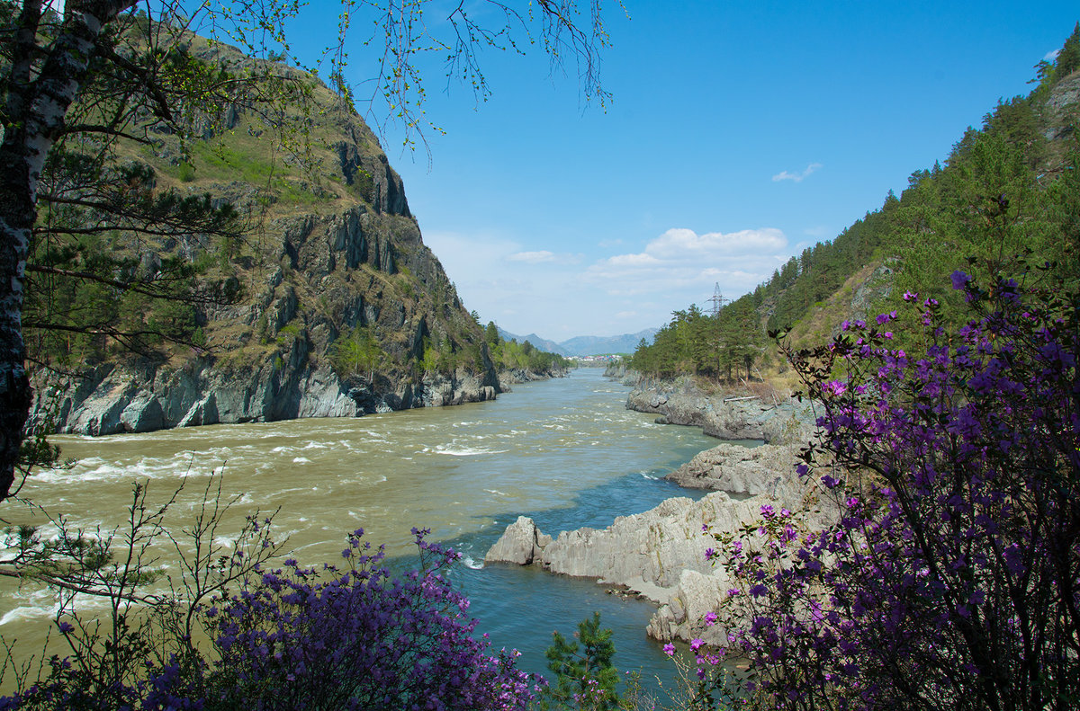 Река изма. Маральник горный Алтай Чемал. Ворота Сартакпая горный Алтай. Ворота Сартакпая Чемал. Долина реки Катунь горный Алтай.