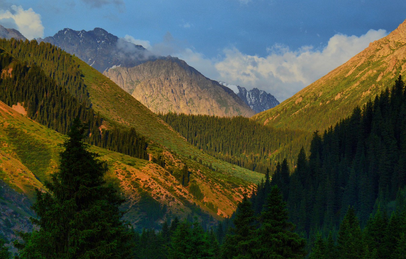 Кыргызстан Узген природа