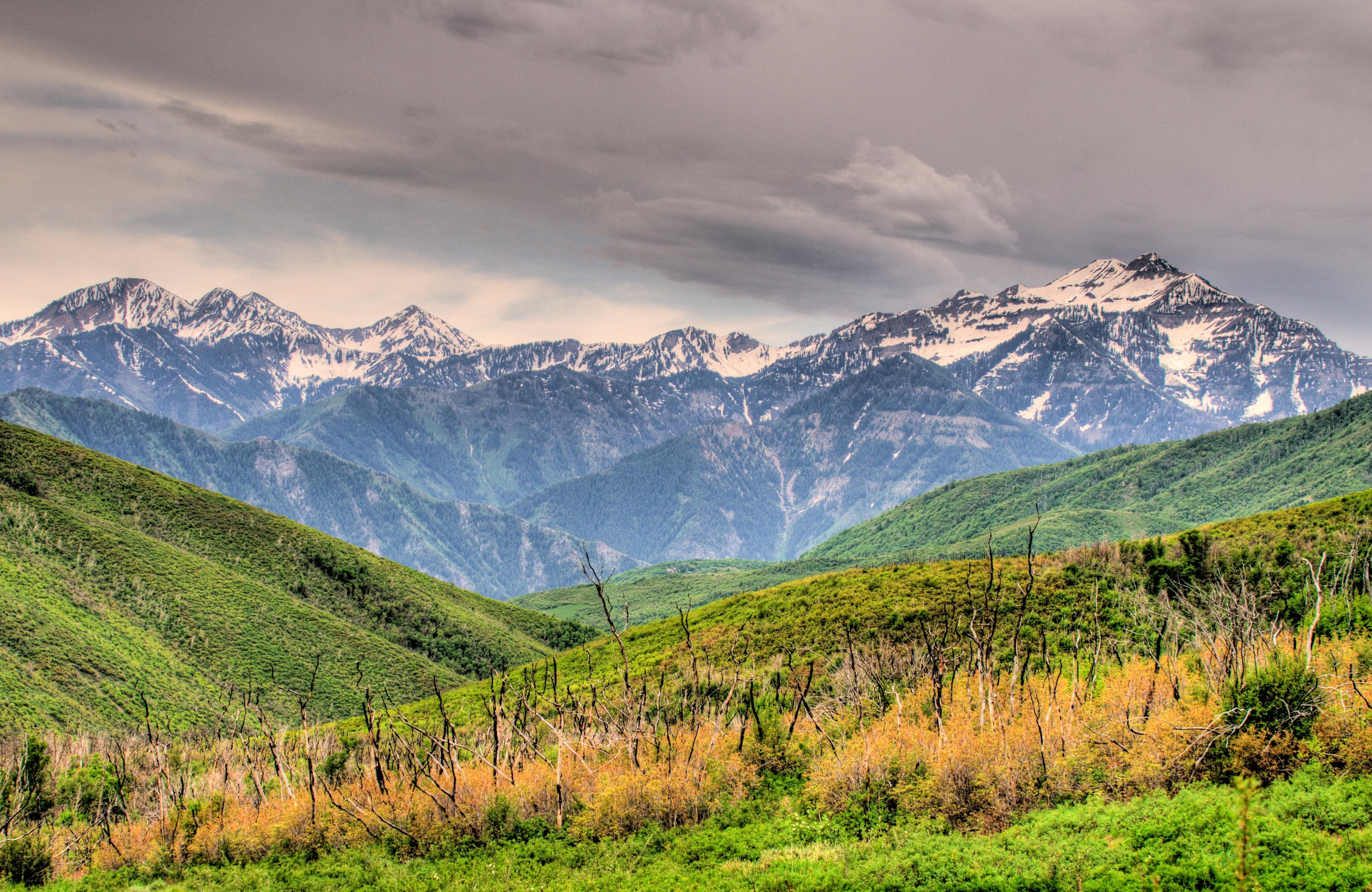 Талышские горы фото