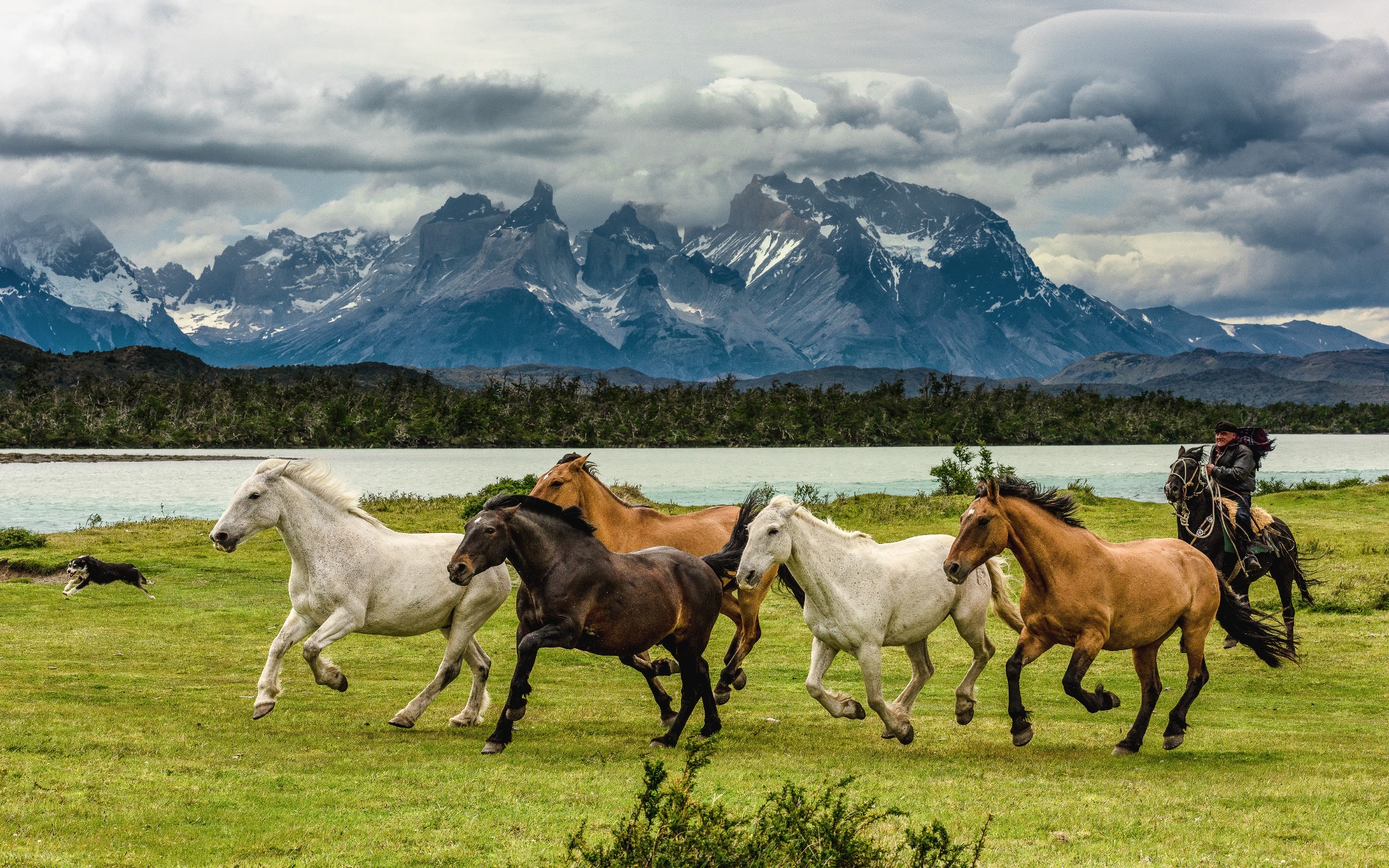 Казахстан пастбище Жайляу горы лошади