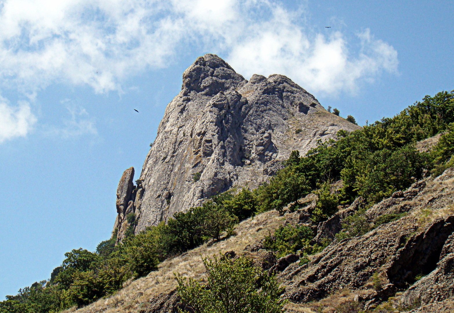 Гора лягушка Крым
