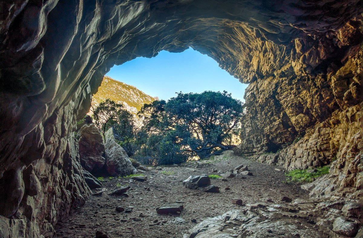 Kodiak cave