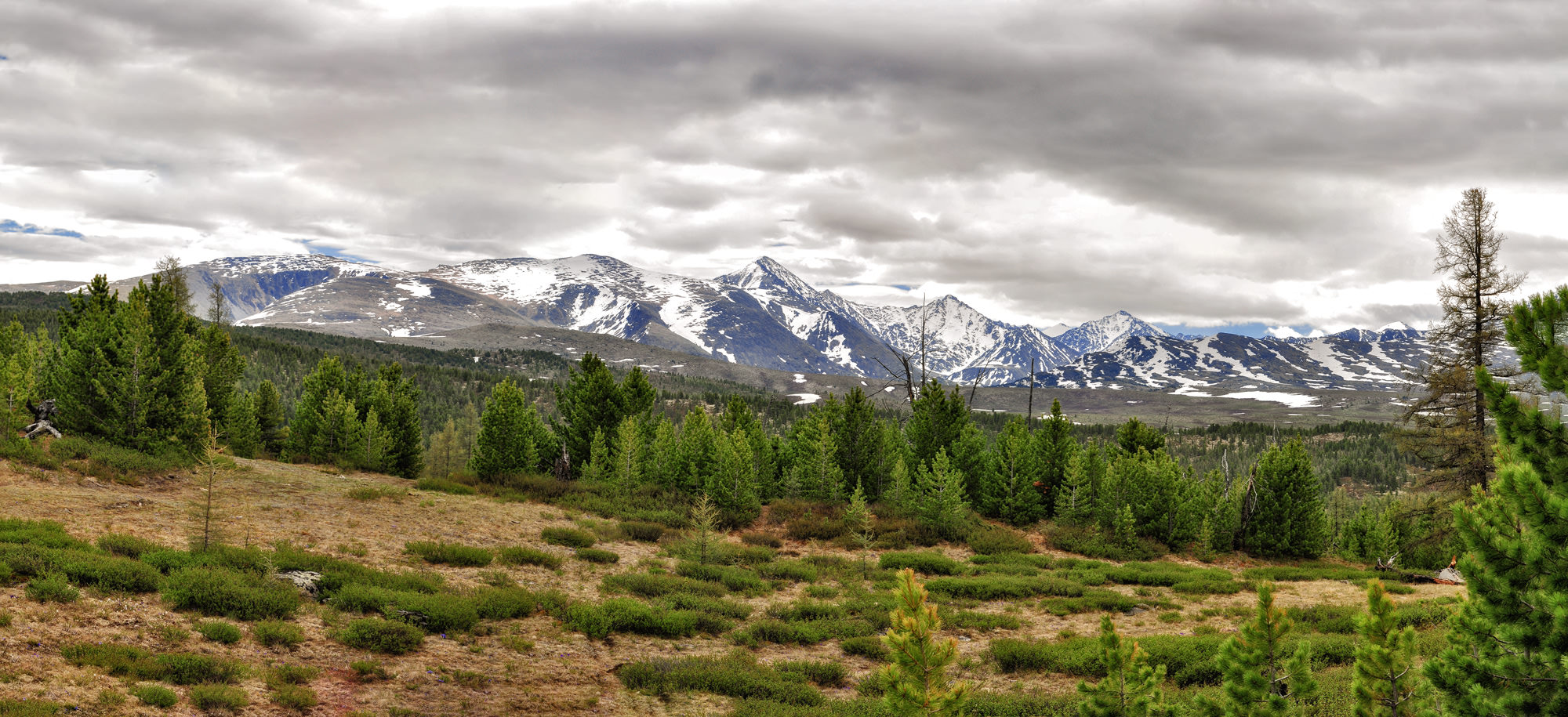 Республика Алтай горы панорама
