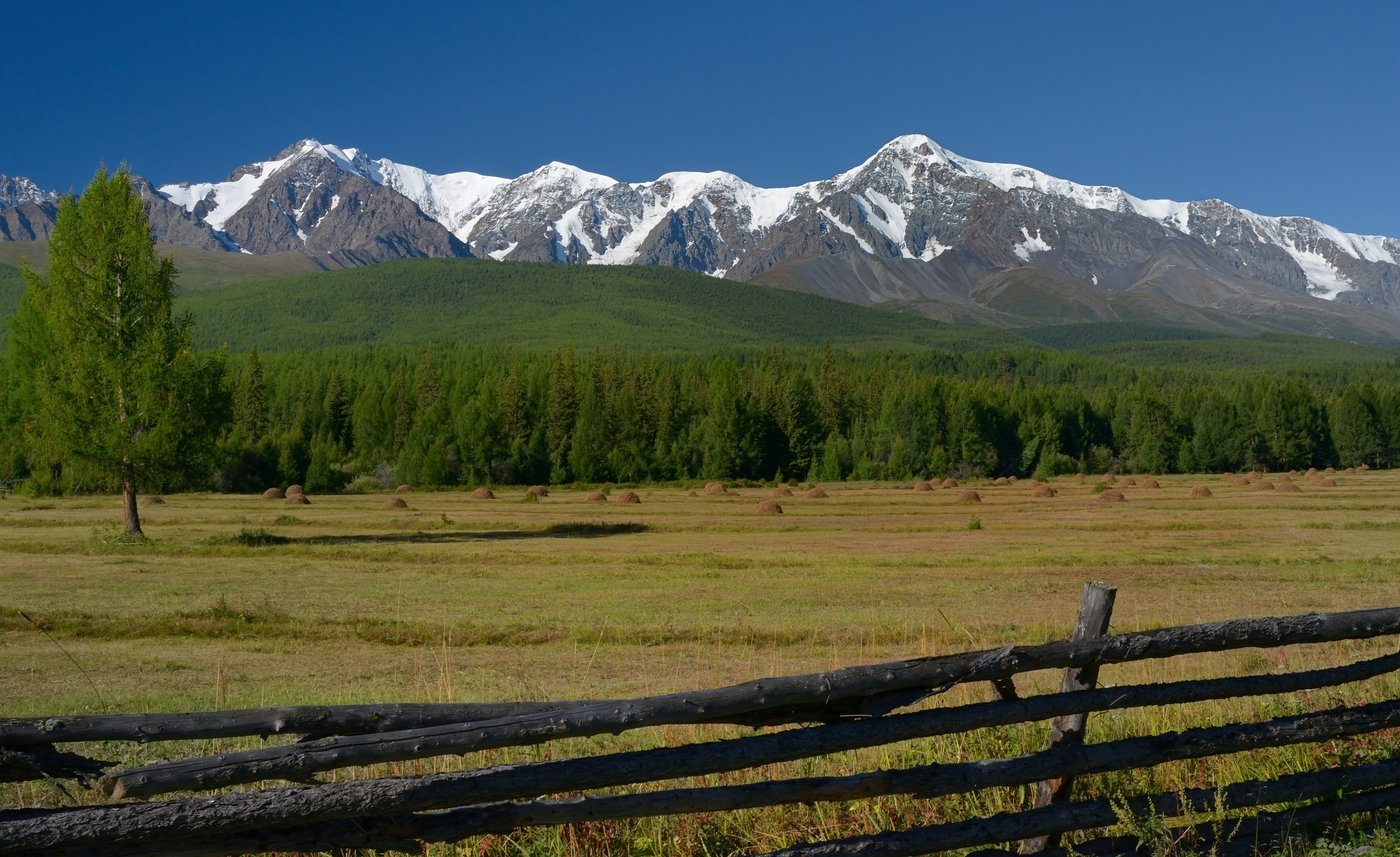Северо-Чуйский хребет горный Алтай