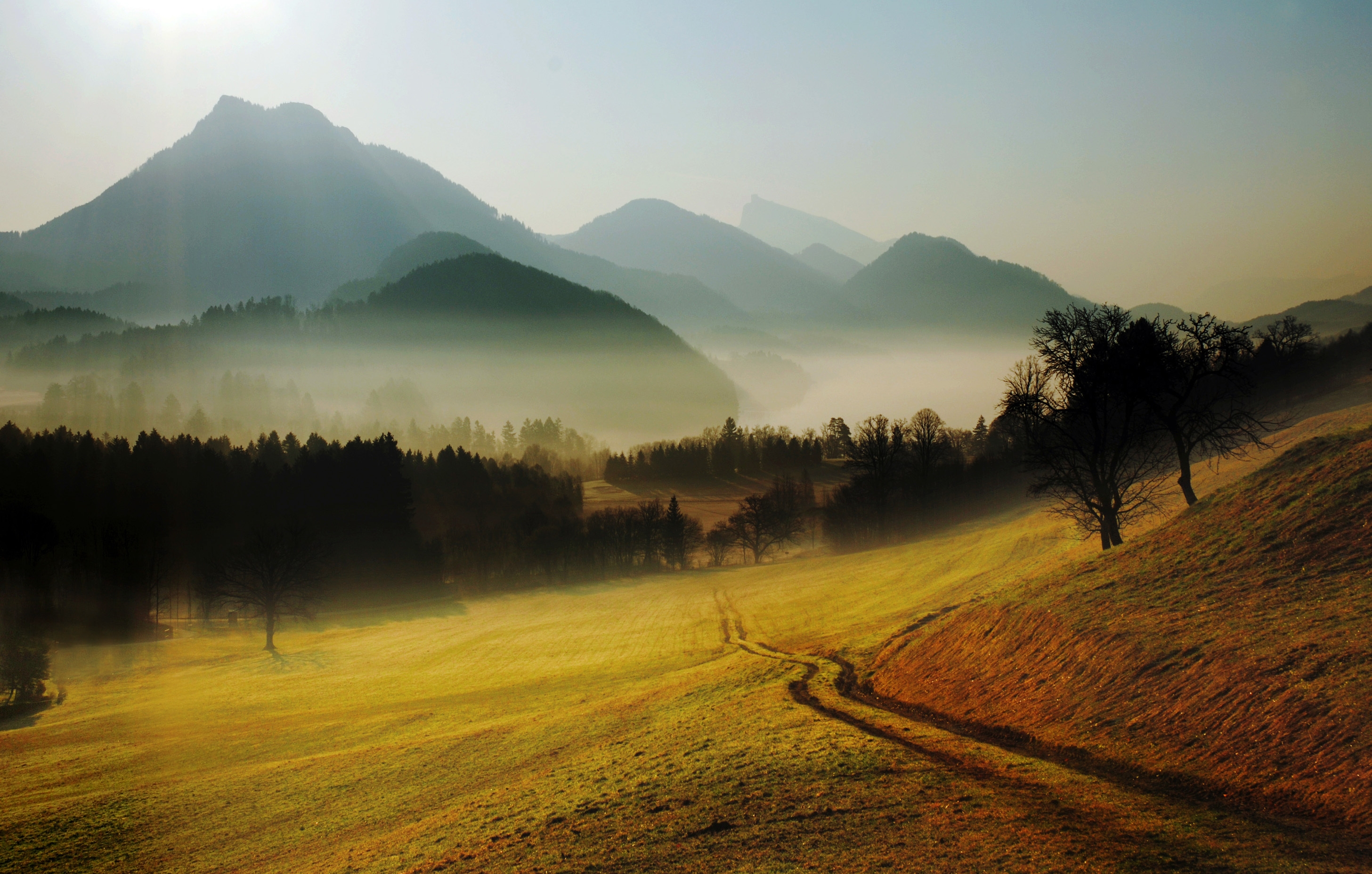 Утро холм. Карпаты Румыния холмы туман. Пейзаж. Пейзаж холмы. Профессиональные пейзажи.