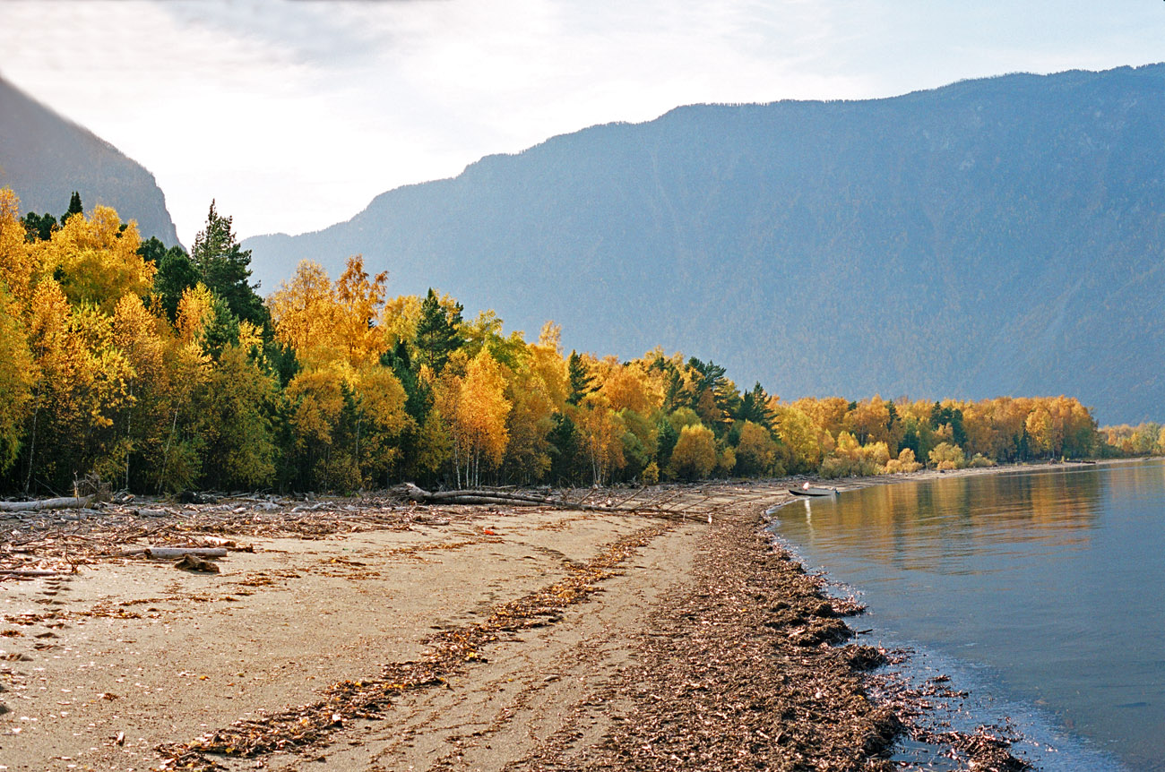 Река Катунь Горно Алтайск осень