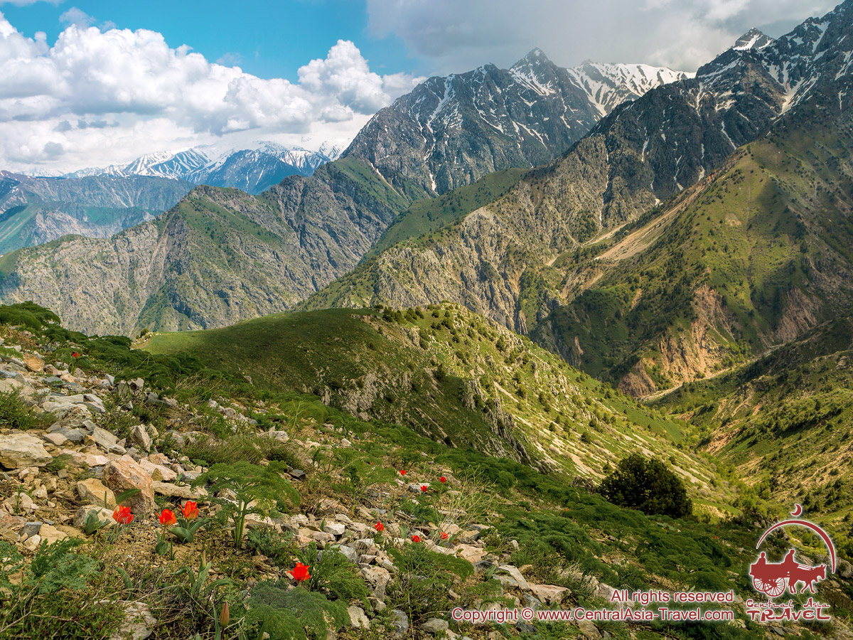 Горы Тянь Шань Узбекистан Ташкент