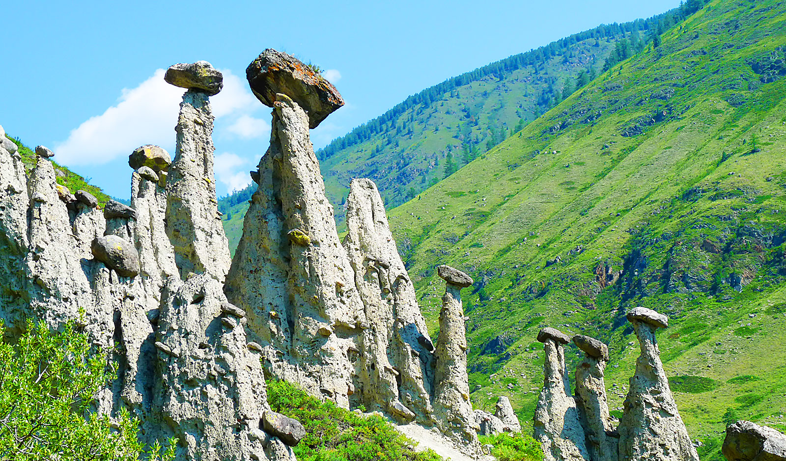 Каменные грибы горный Алтай турбаза