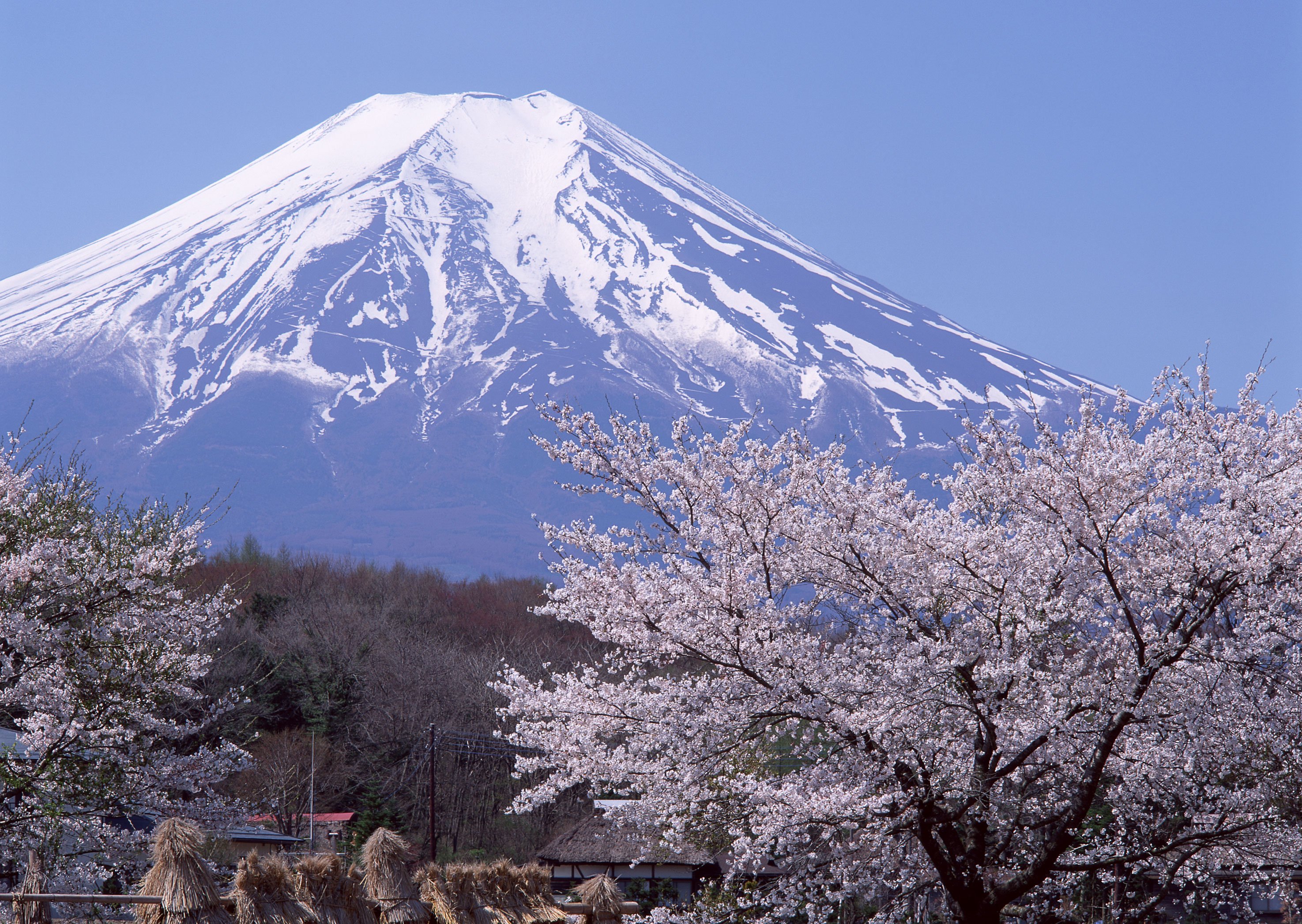 Фудзи чита сайт. Вулкан Фудзияма в Японии. Гора Фудзияма (Фудзи). Гора Fuji Япония. Символ Японии - гора Фудзияма..