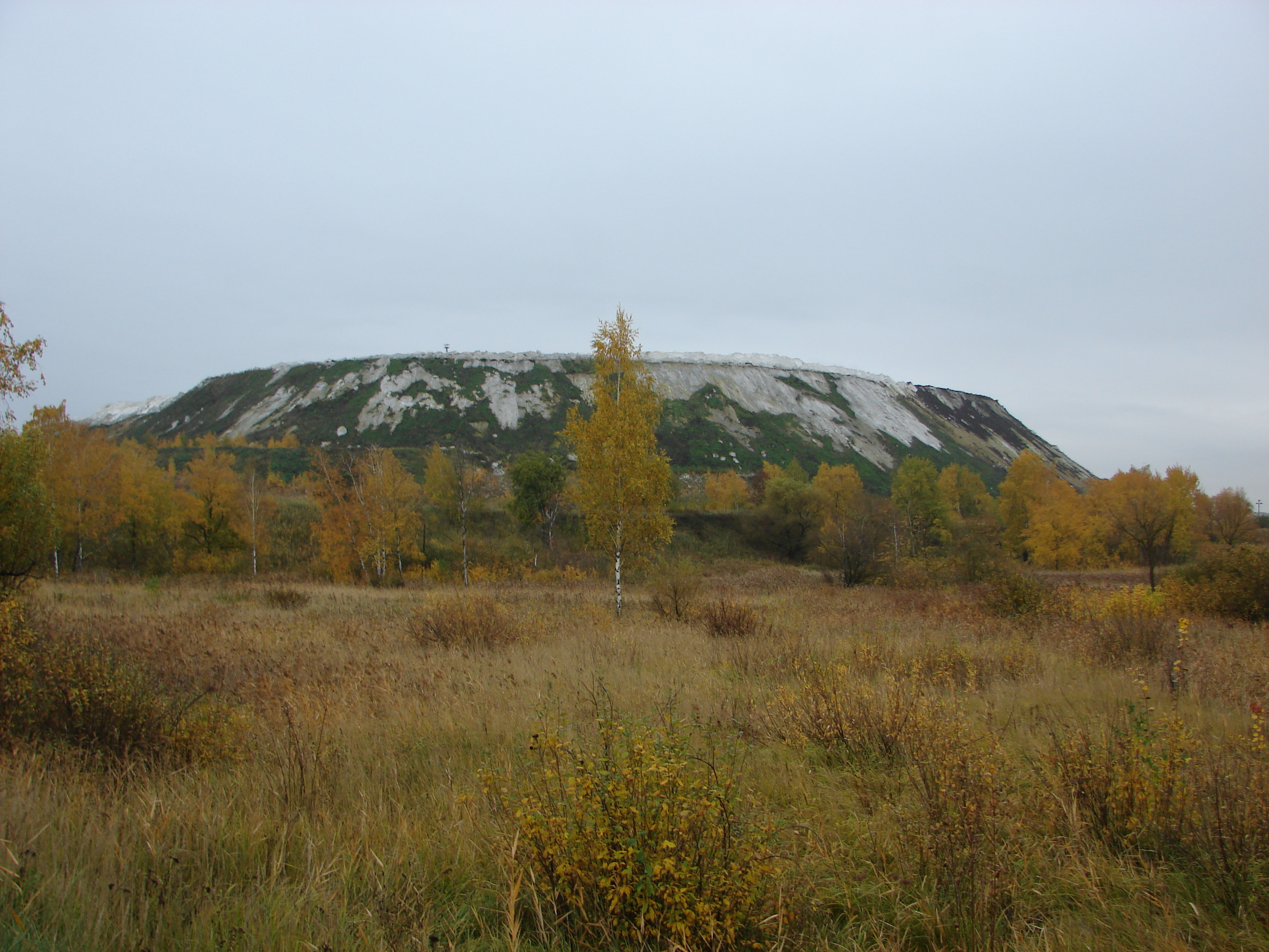 Зеленая гора Воскресенск