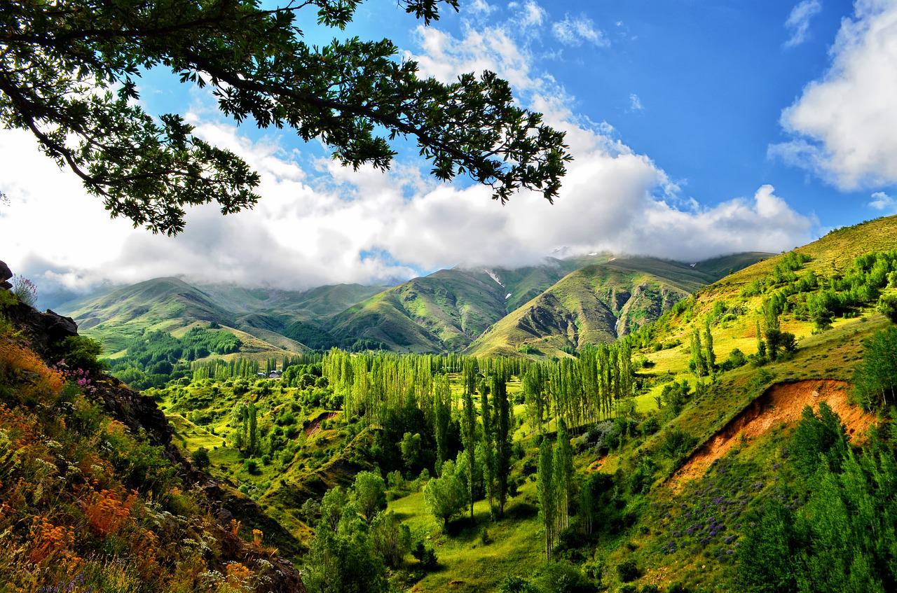 Горы и леса в Турции