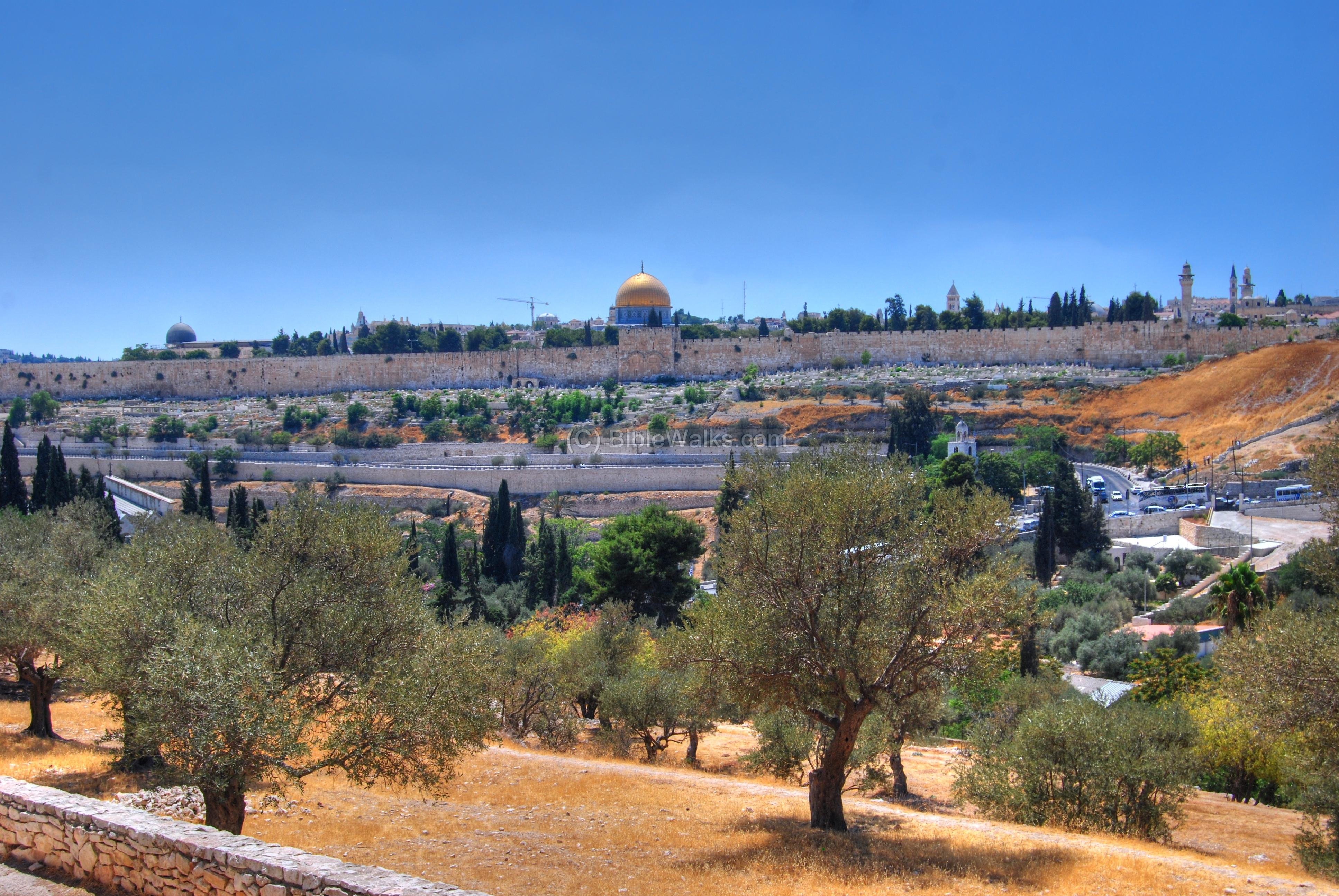 Иерусалим масличная гора в Иерусалиме