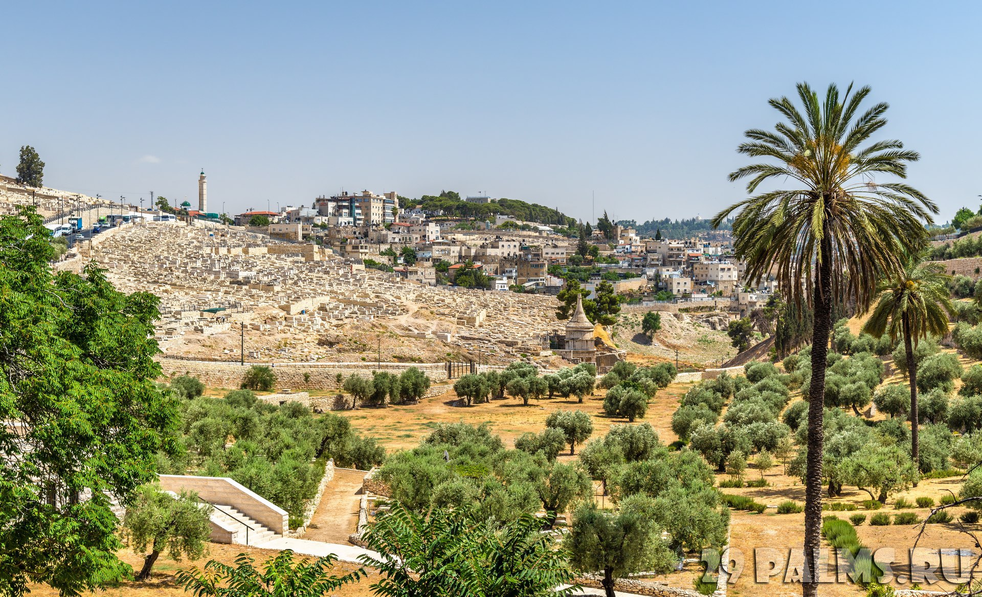 Поток кедрон в иерусалиме