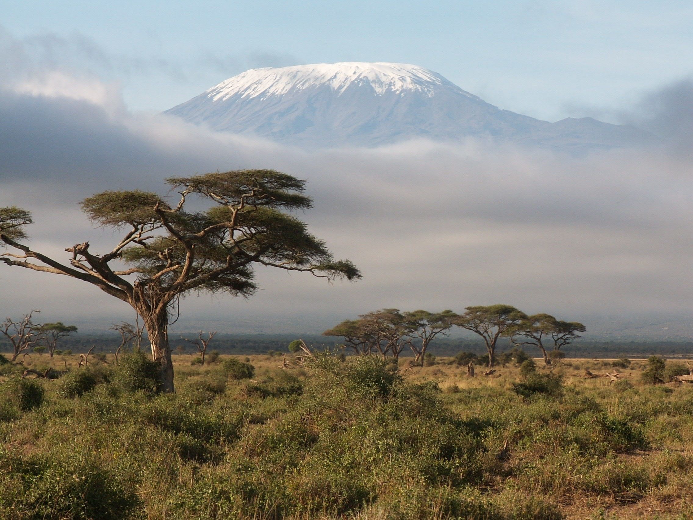 Парк горы Килиманджаро