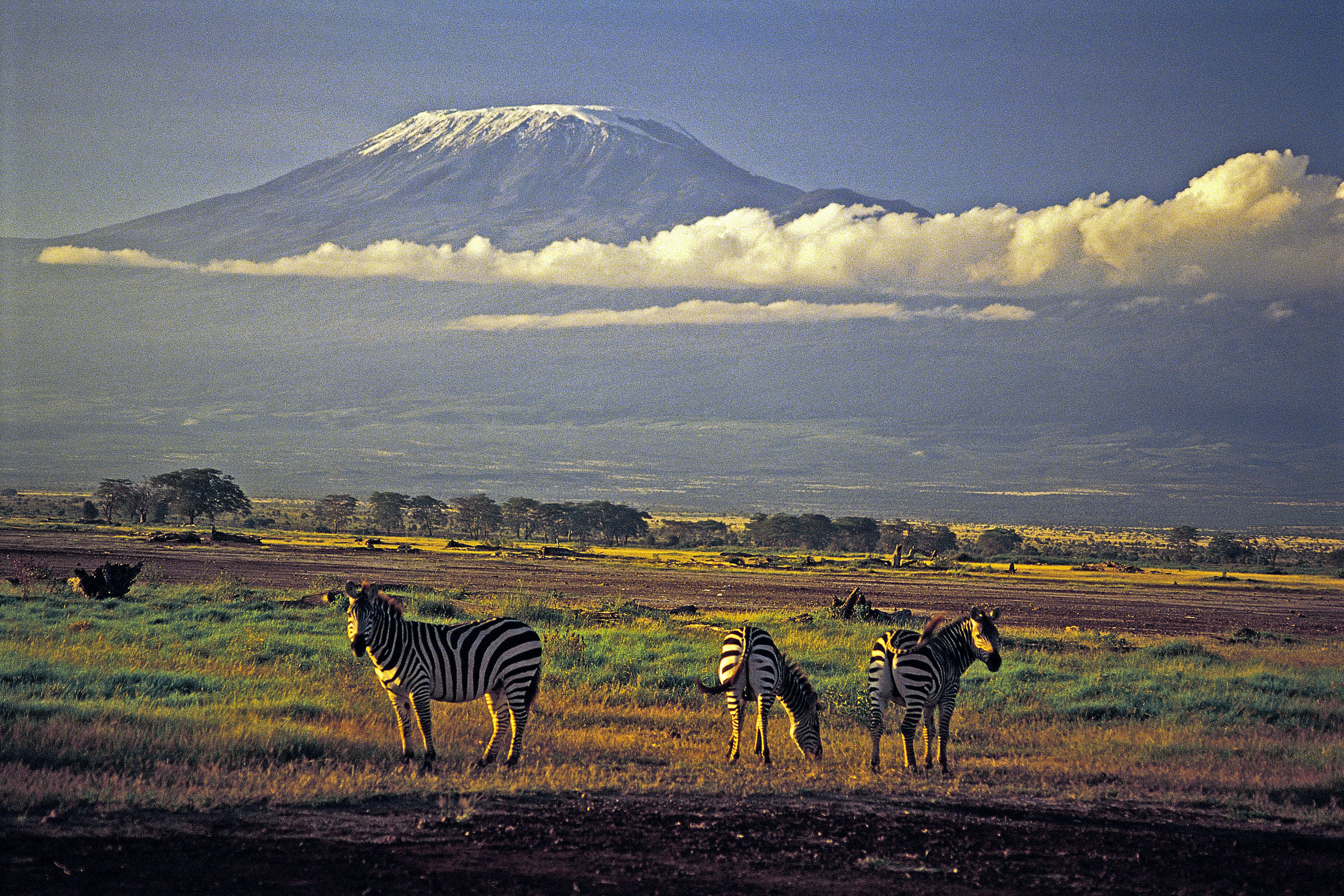 Восточная Африка Килиманджаро