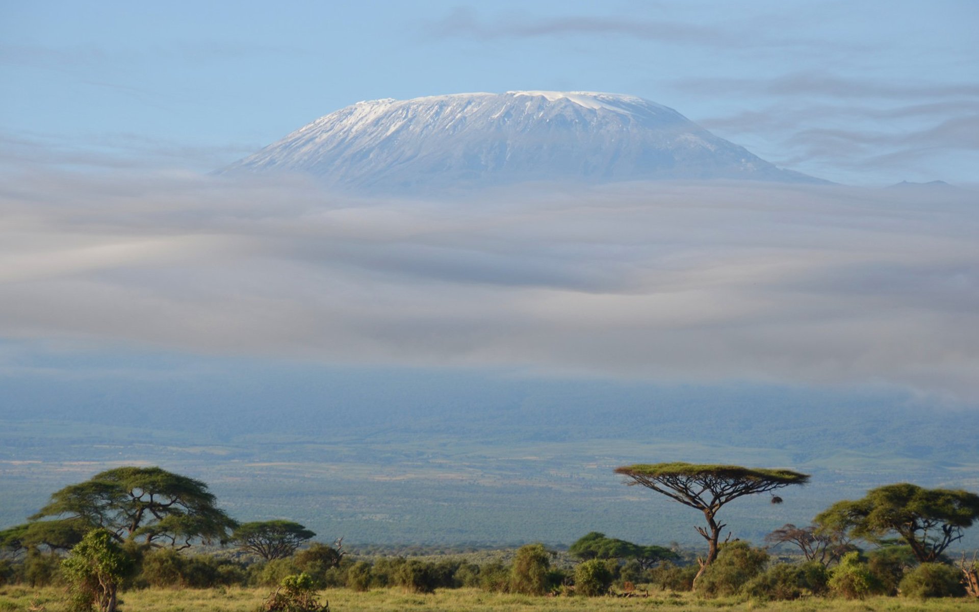 Килиманджаро гора природа