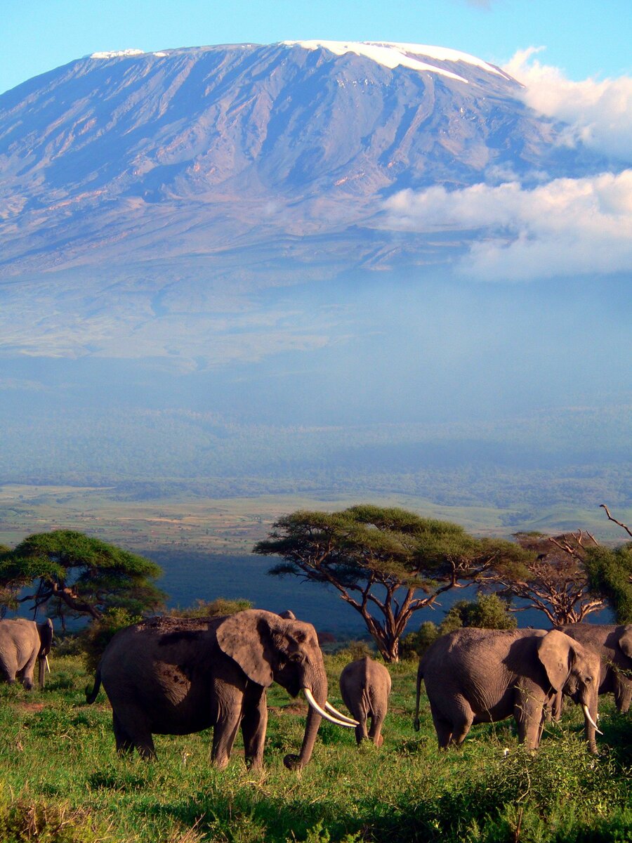 Африка вулкан Килиманджаро