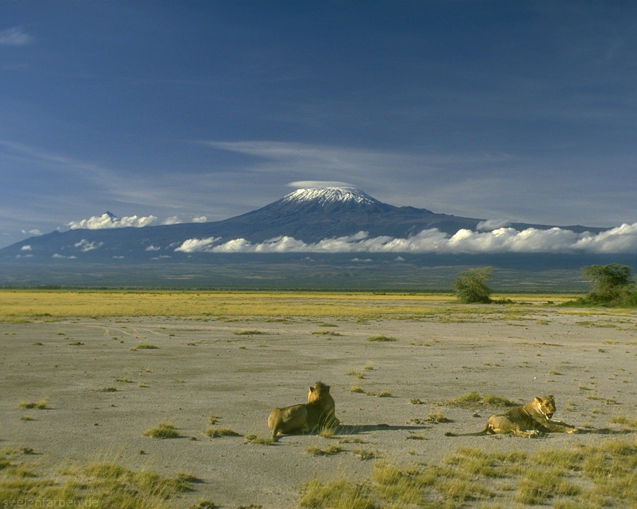 Самая высокая гора Африки Килиманджаро