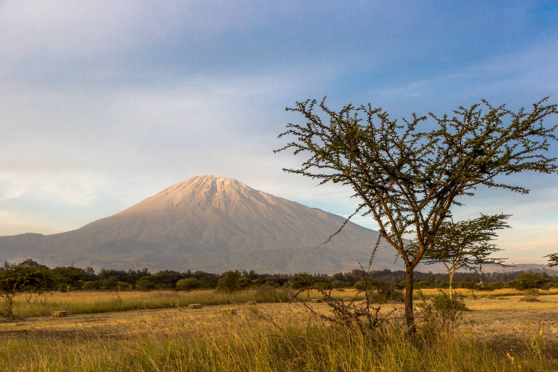 Танзания подножье Килиманджаро
