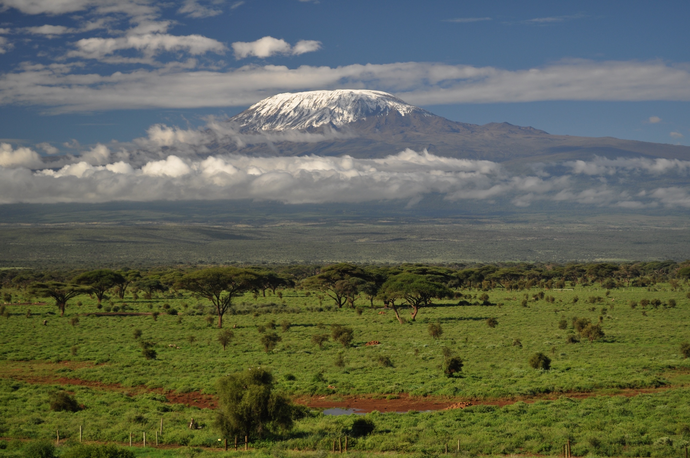 Национальный парк Килиманджаро климат