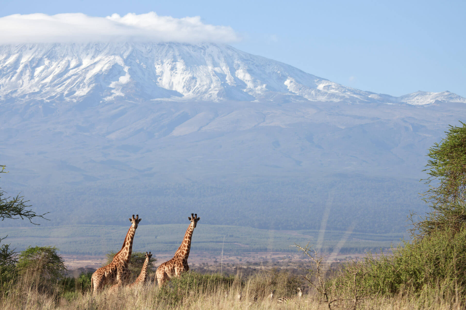 Килиманджаро горный массив