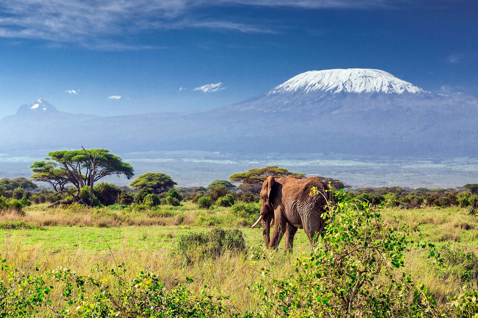 Нац парк Килиманджаро