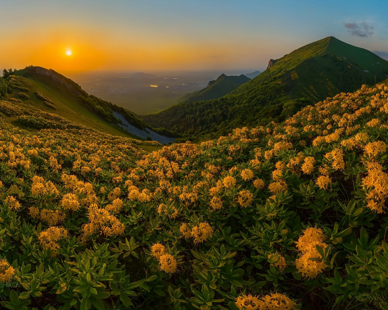 Рассвет горы цветы Бештау