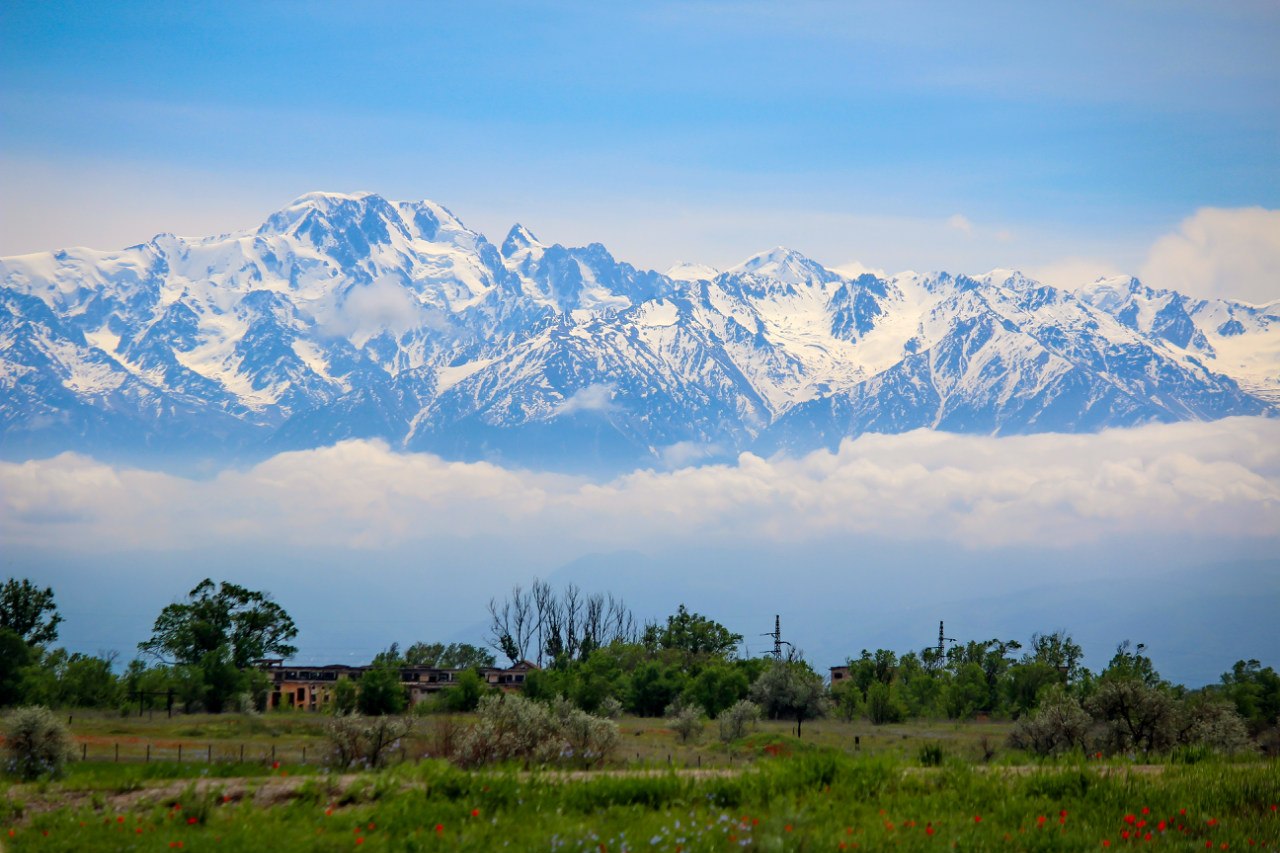 Казахстанских гор